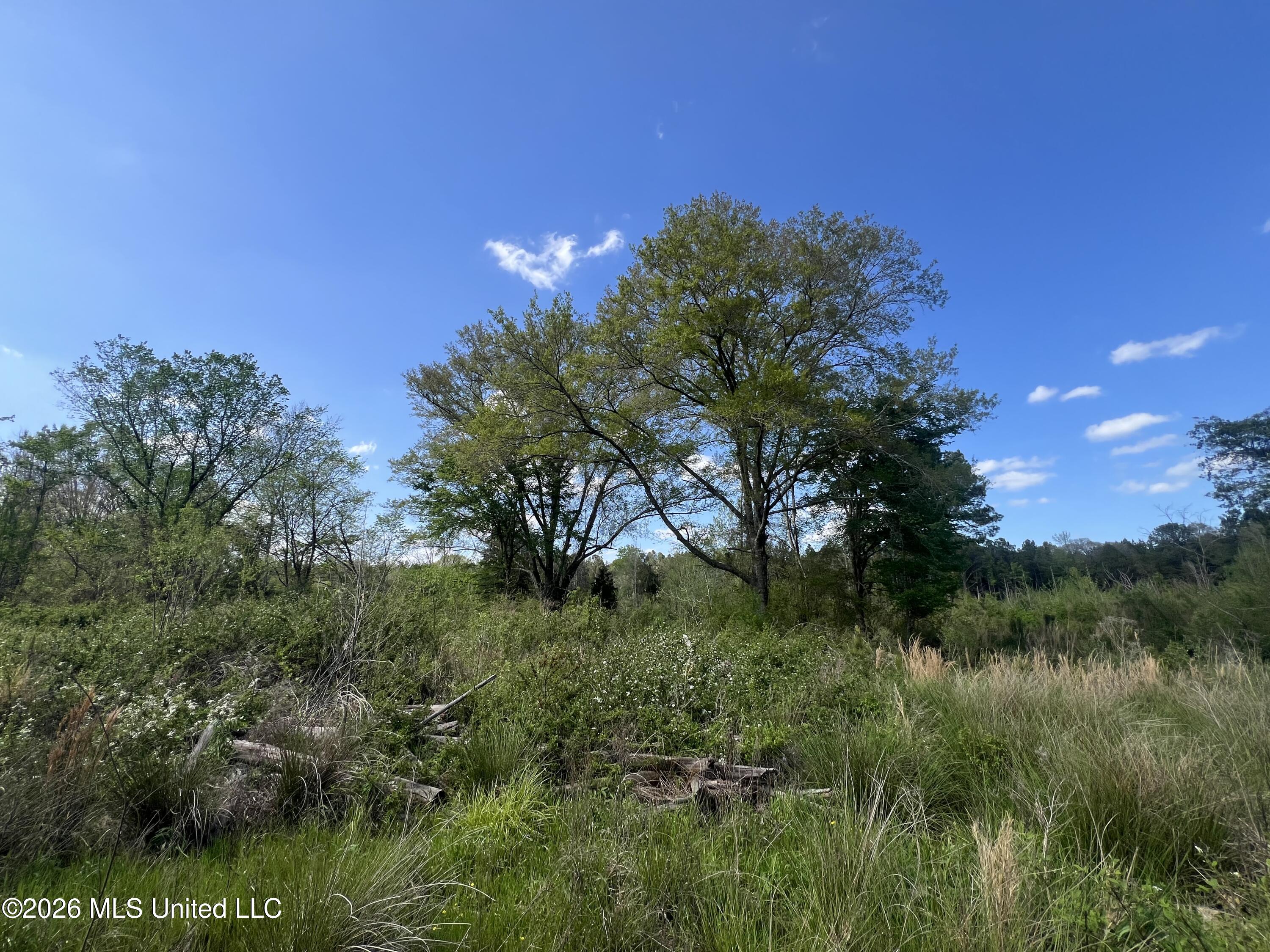1479 Truesdale Road Property Photo 11