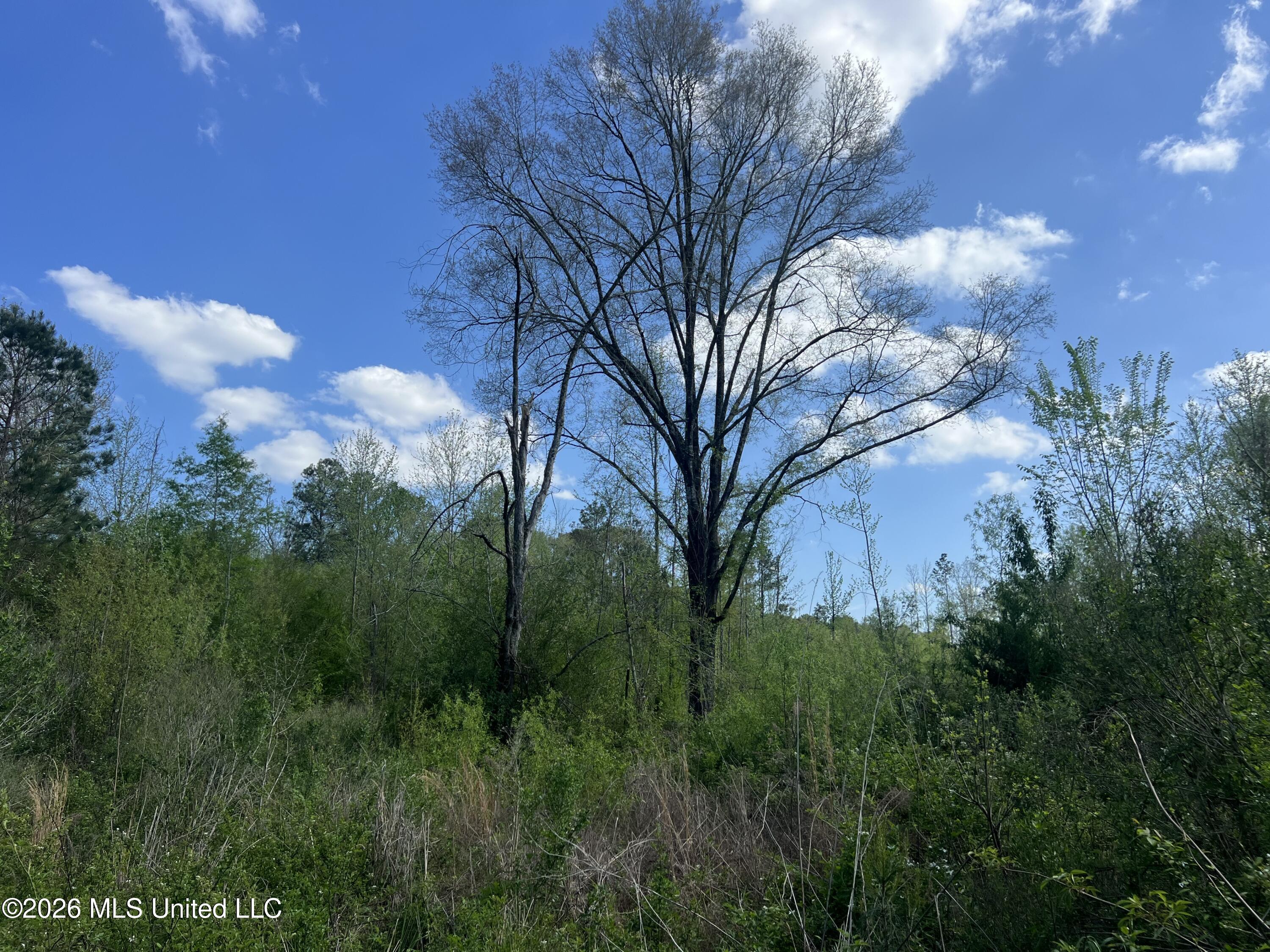 1479 Truesdale Road Property Photo 12