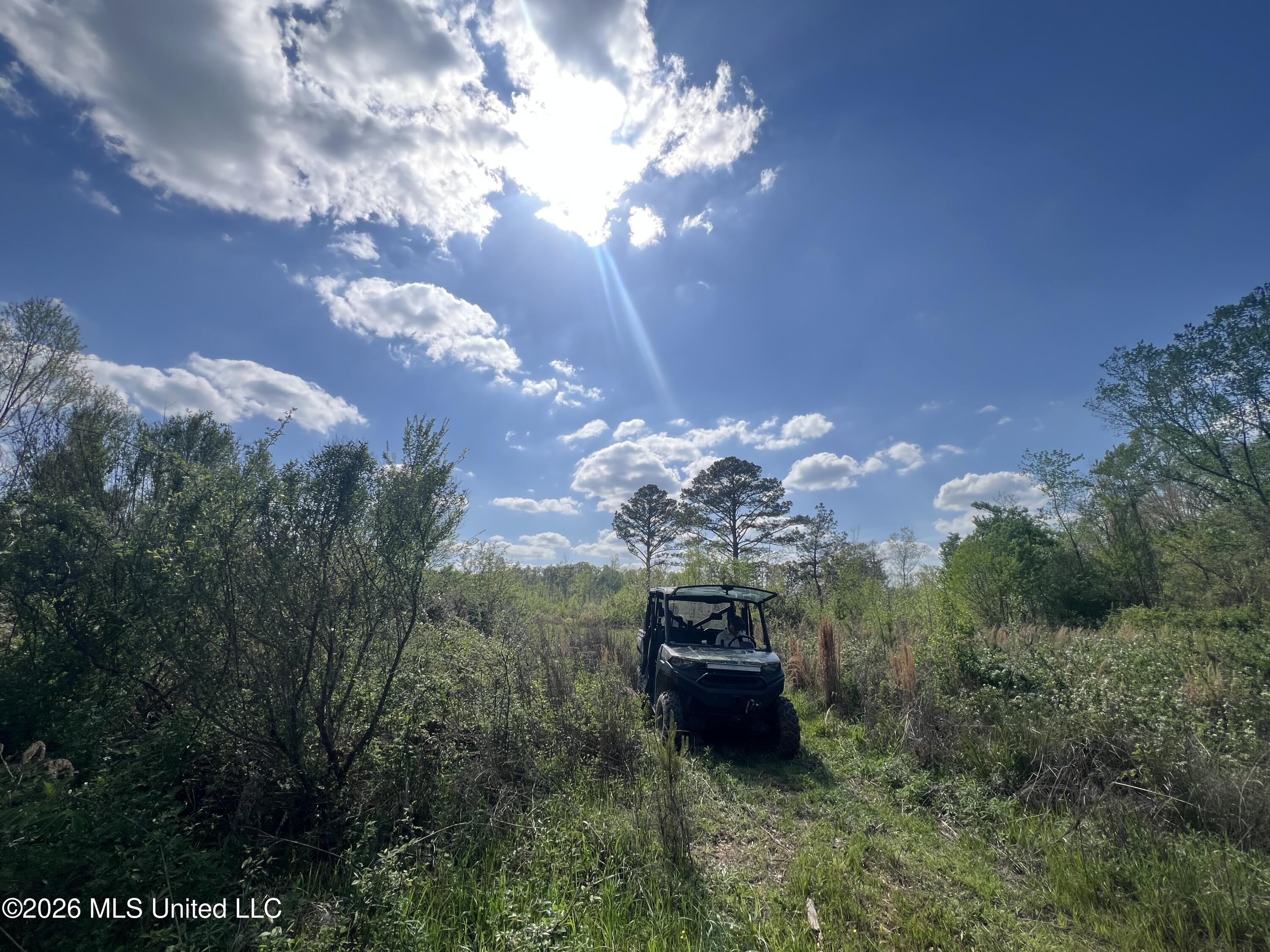 1479 Truesdale Road Property Photo 13