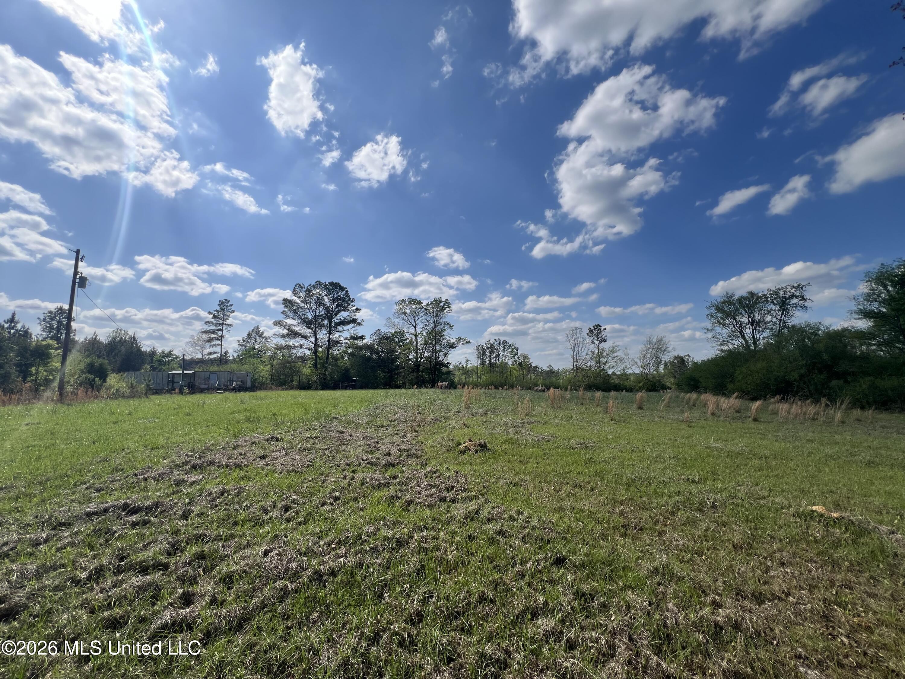 1479 Truesdale Road Property Photo 14