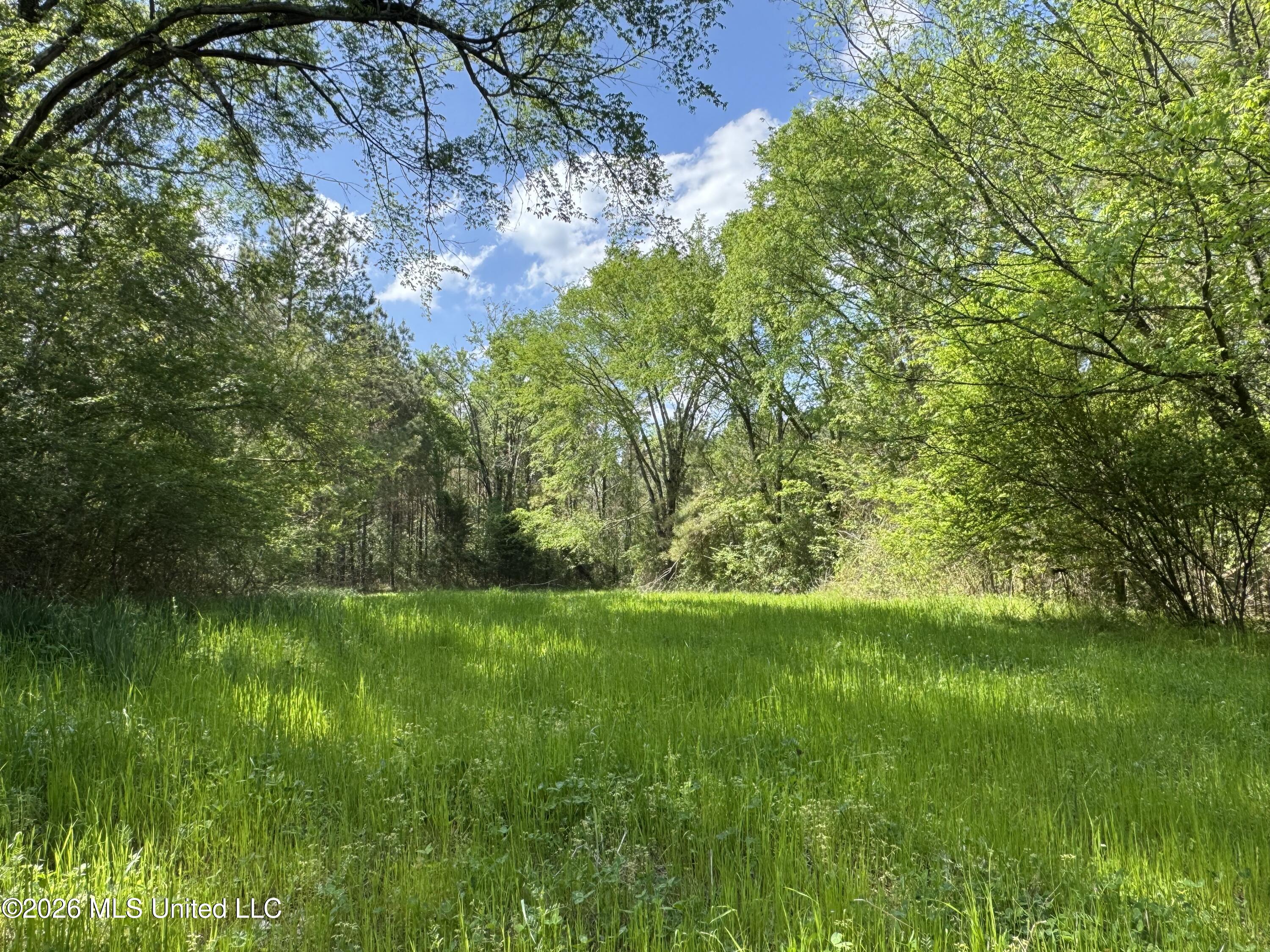 1479 Truesdale Road Property Photo 16