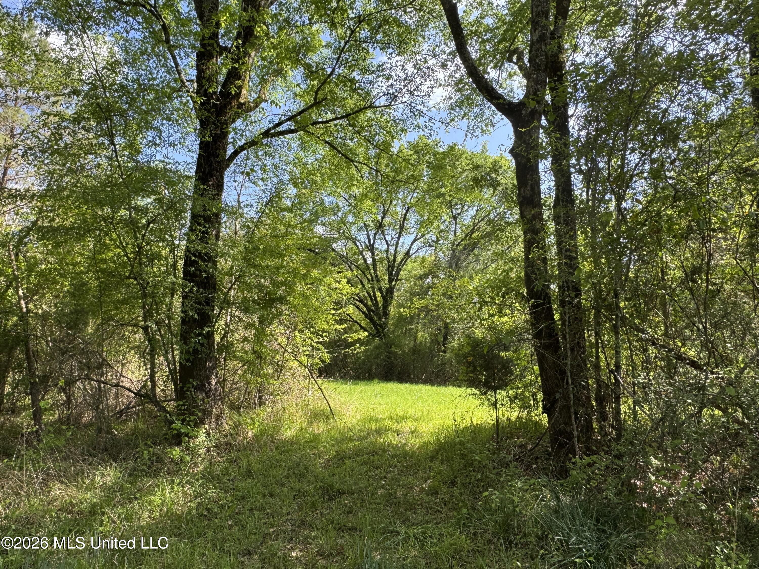 1479 Truesdale Road Property Photo 17