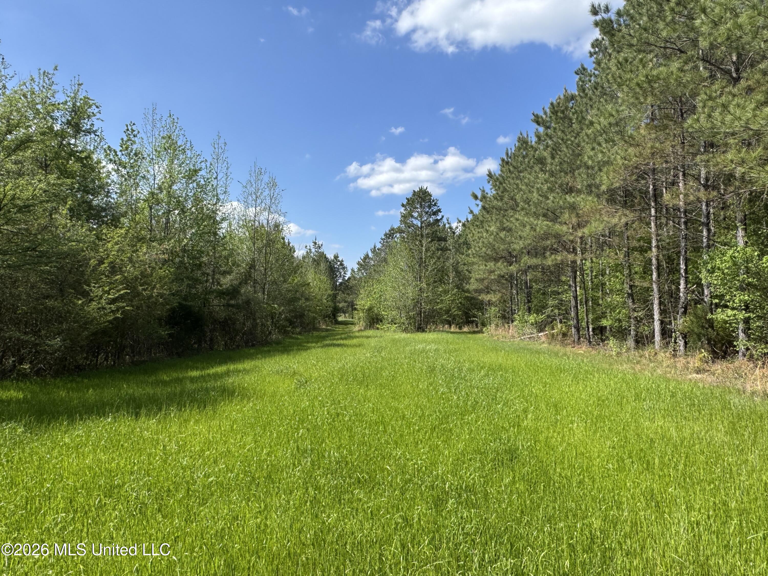 1479 Truesdale Road Property Photo 18