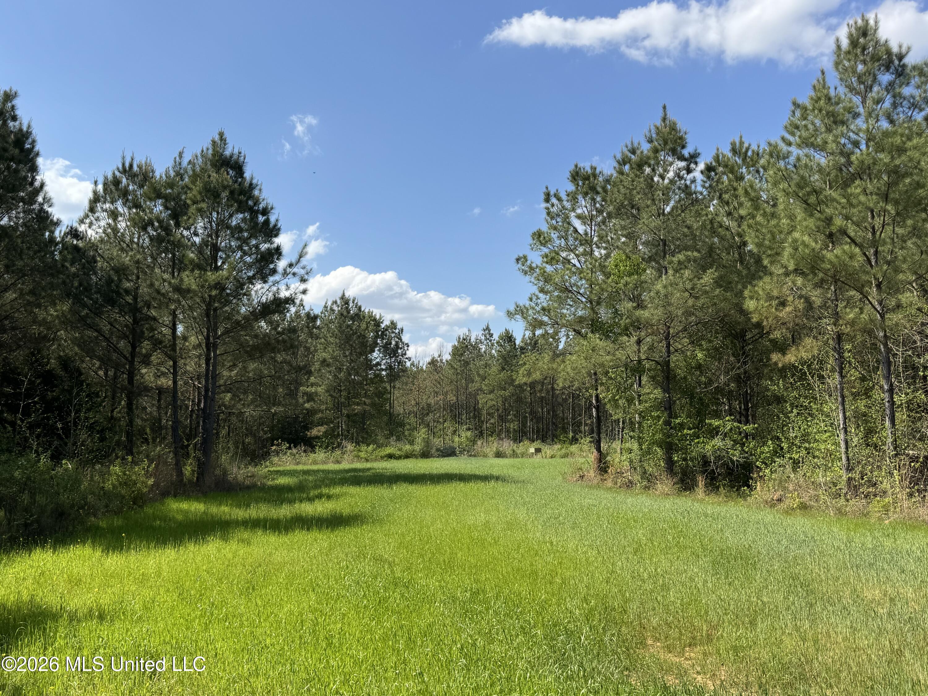 1479 Truesdale Road Property Photo 19