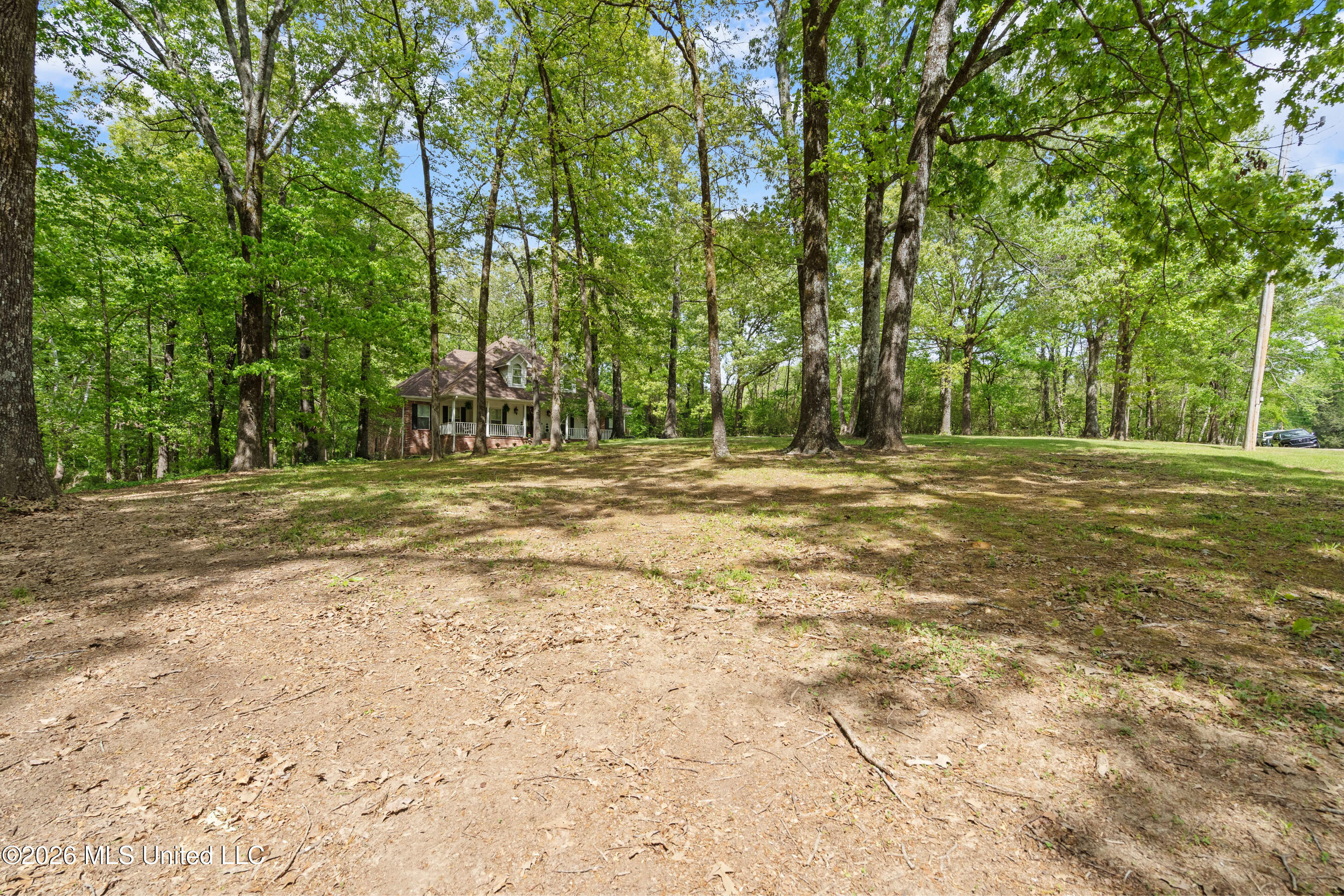 6070 Timber Oaks Drive Property Photo 34