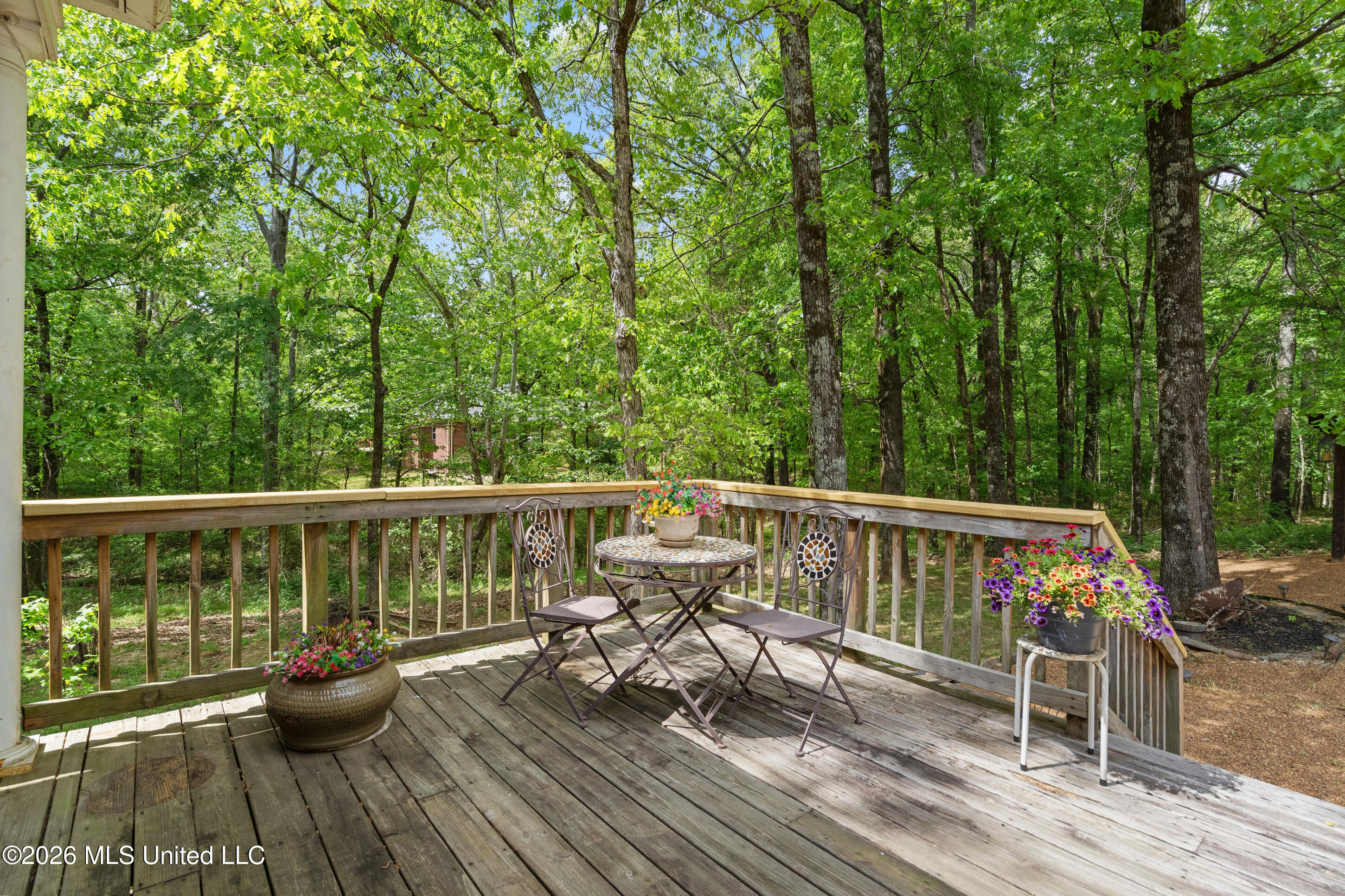6070 Timber Oaks Drive Property Photo 39