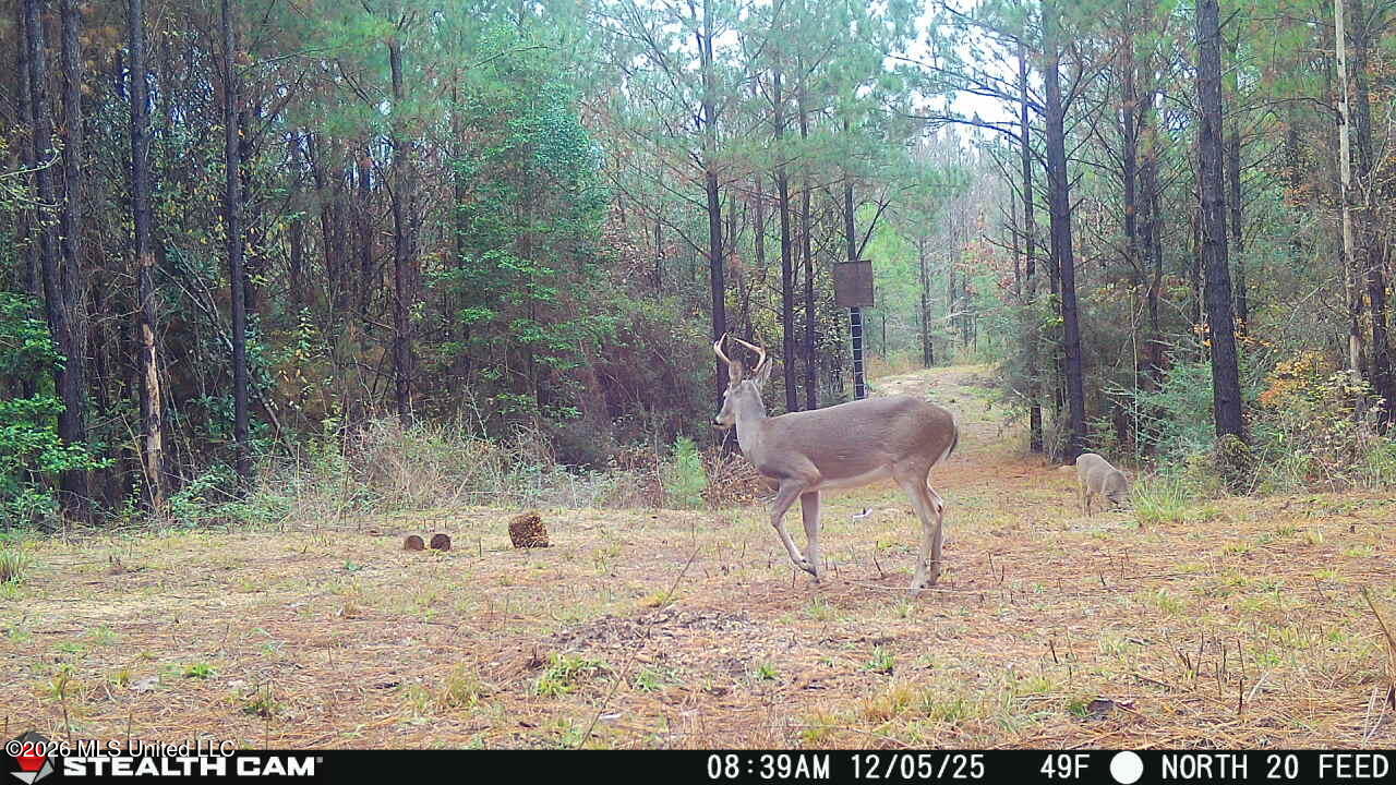 0 Mississippi 33 Property Photo 10