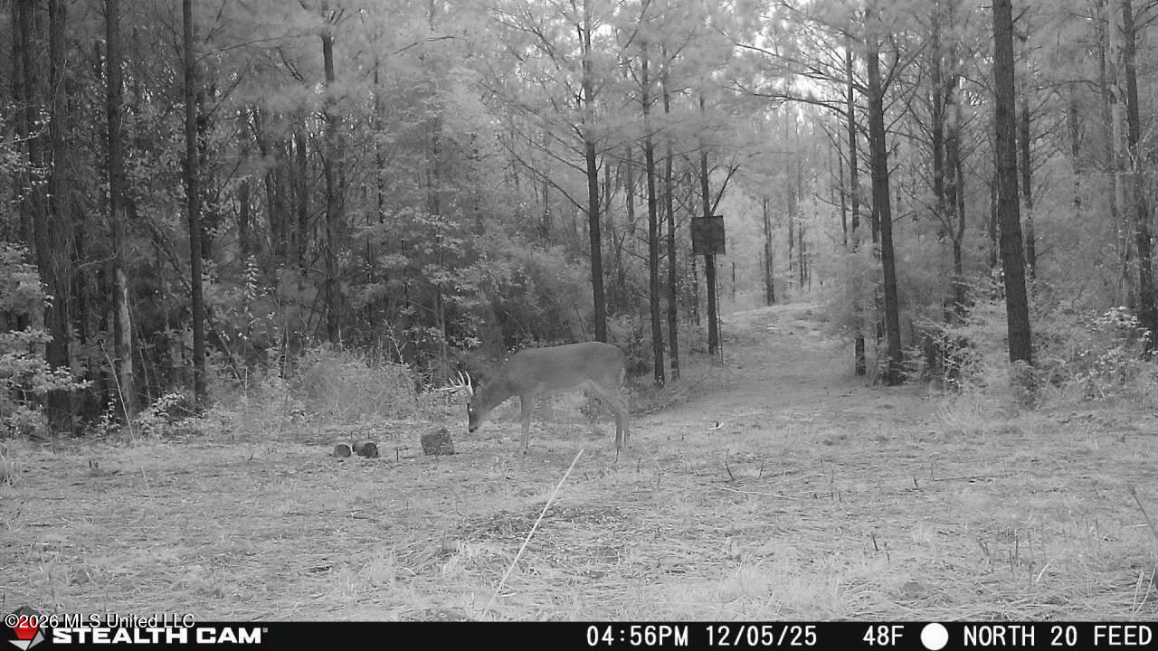 0 Mississippi 33 Property Photo 11
