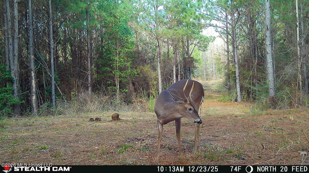 0 Mississippi 33 Property Photo 13