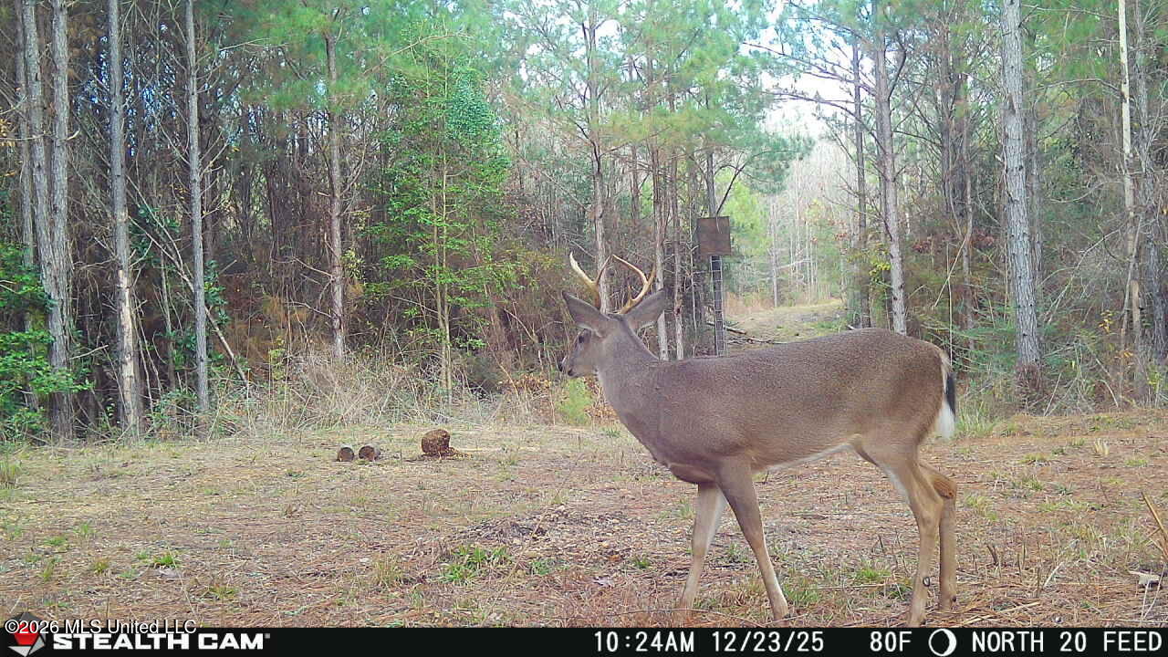 0 Mississippi 33 Property Photo 14