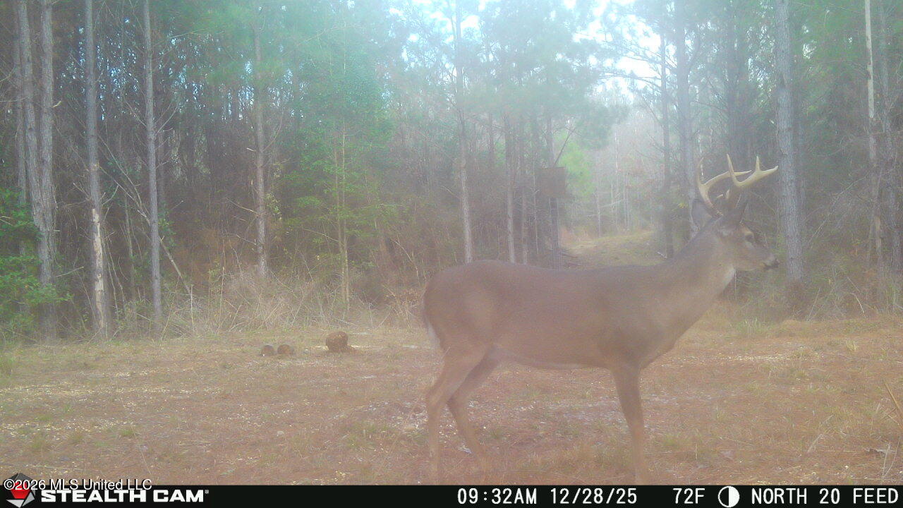 0 Mississippi 33 Property Photo 16