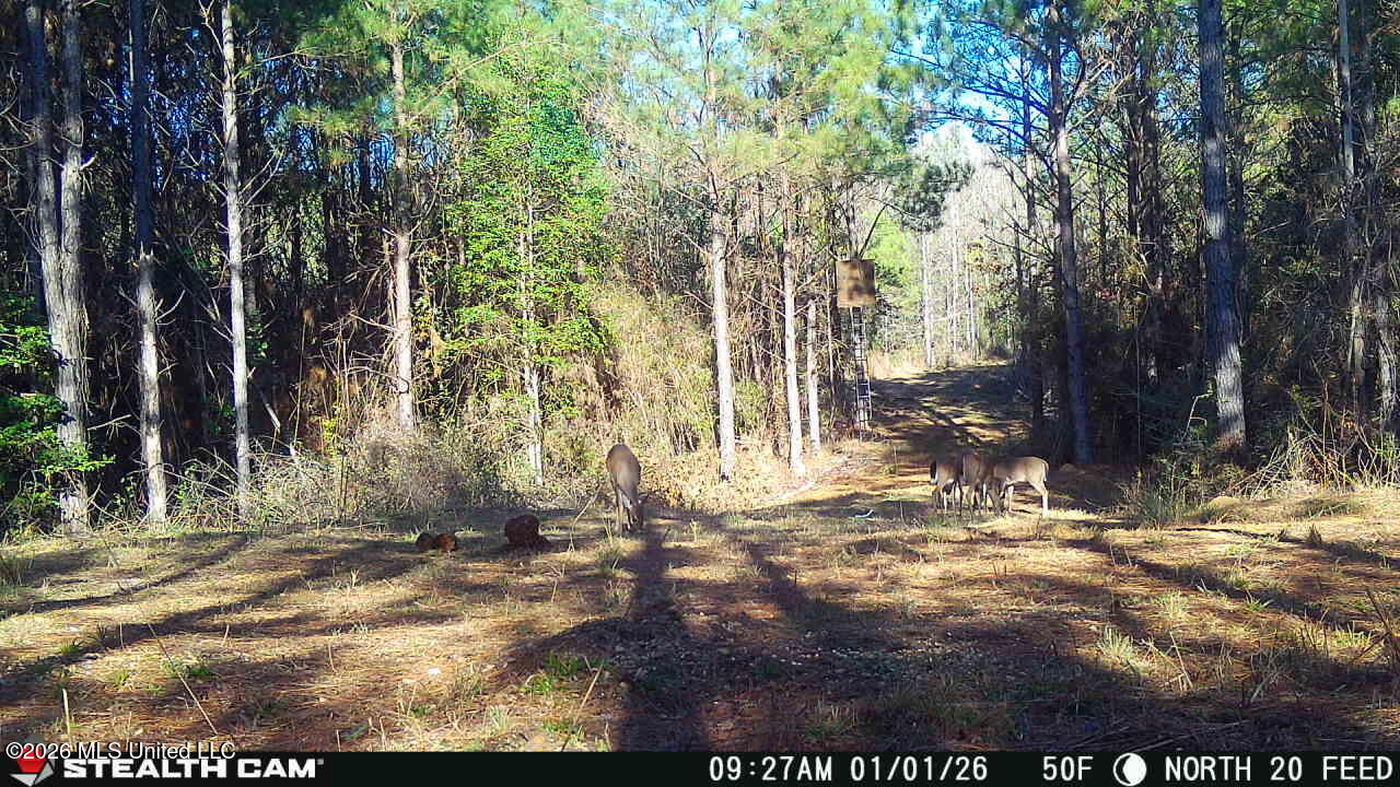 0 Mississippi 33 Property Photo 17