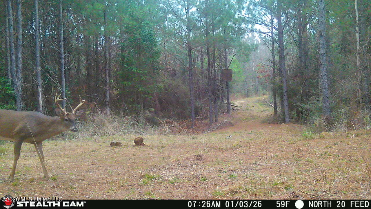 0 Mississippi 33 Property Photo 19