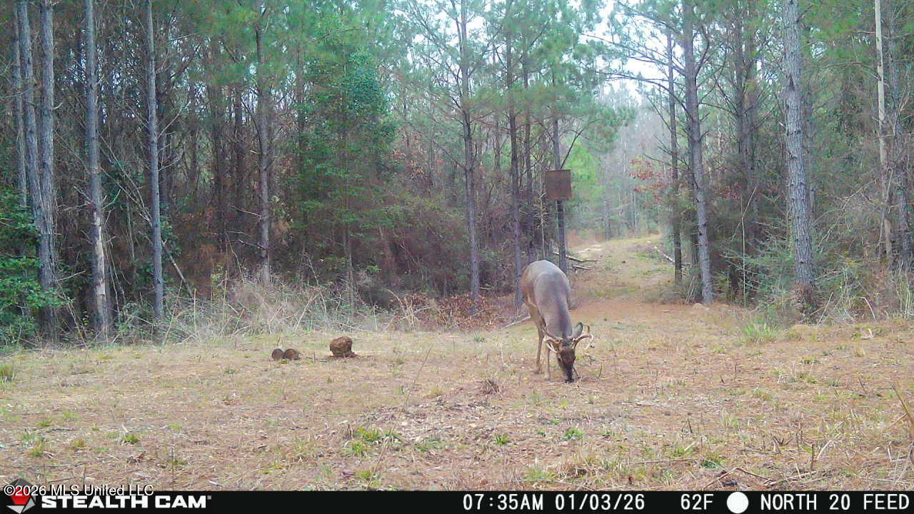 0 Mississippi 33 Property Photo 20