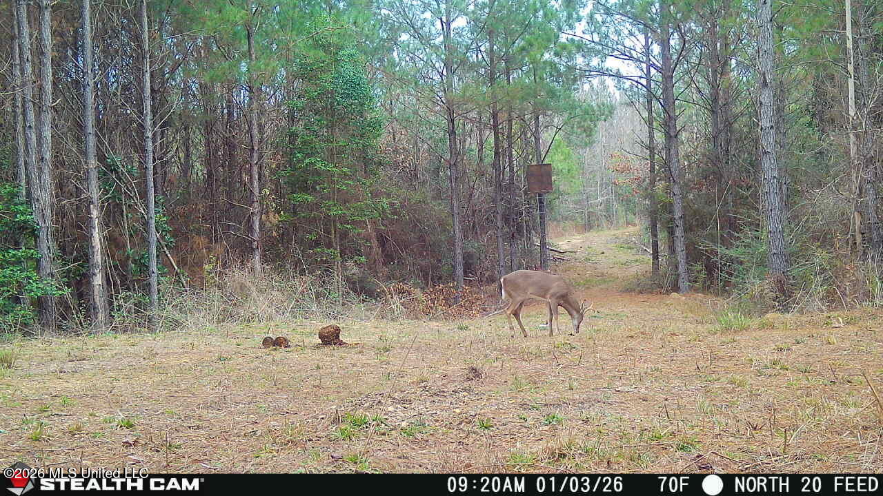 0 Mississippi 33 Property Photo 21