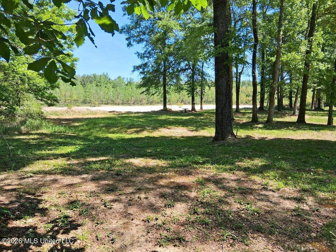 143 Ralph's Drive Property Photo 42