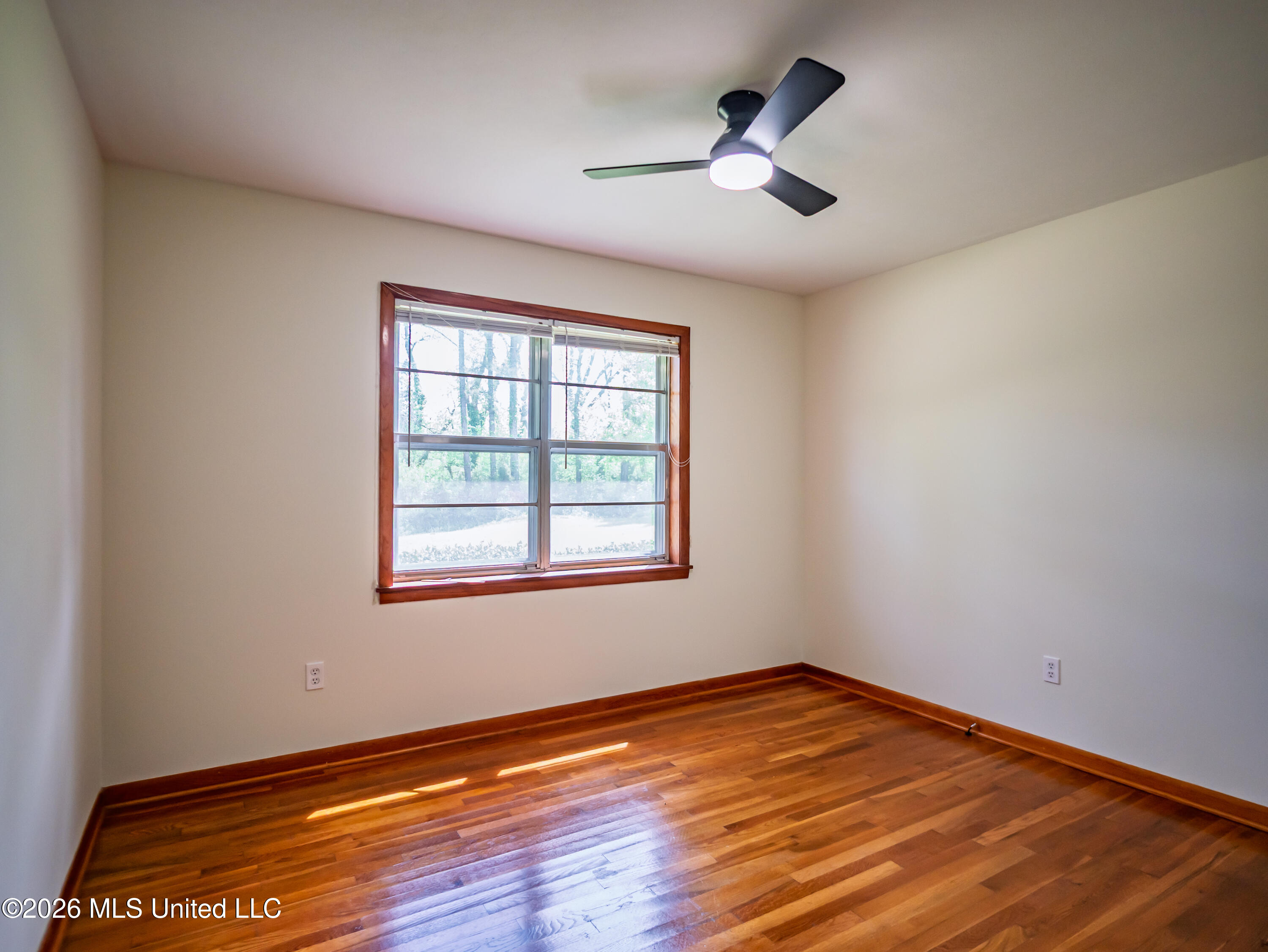 81 Wells Street Property Photo 10