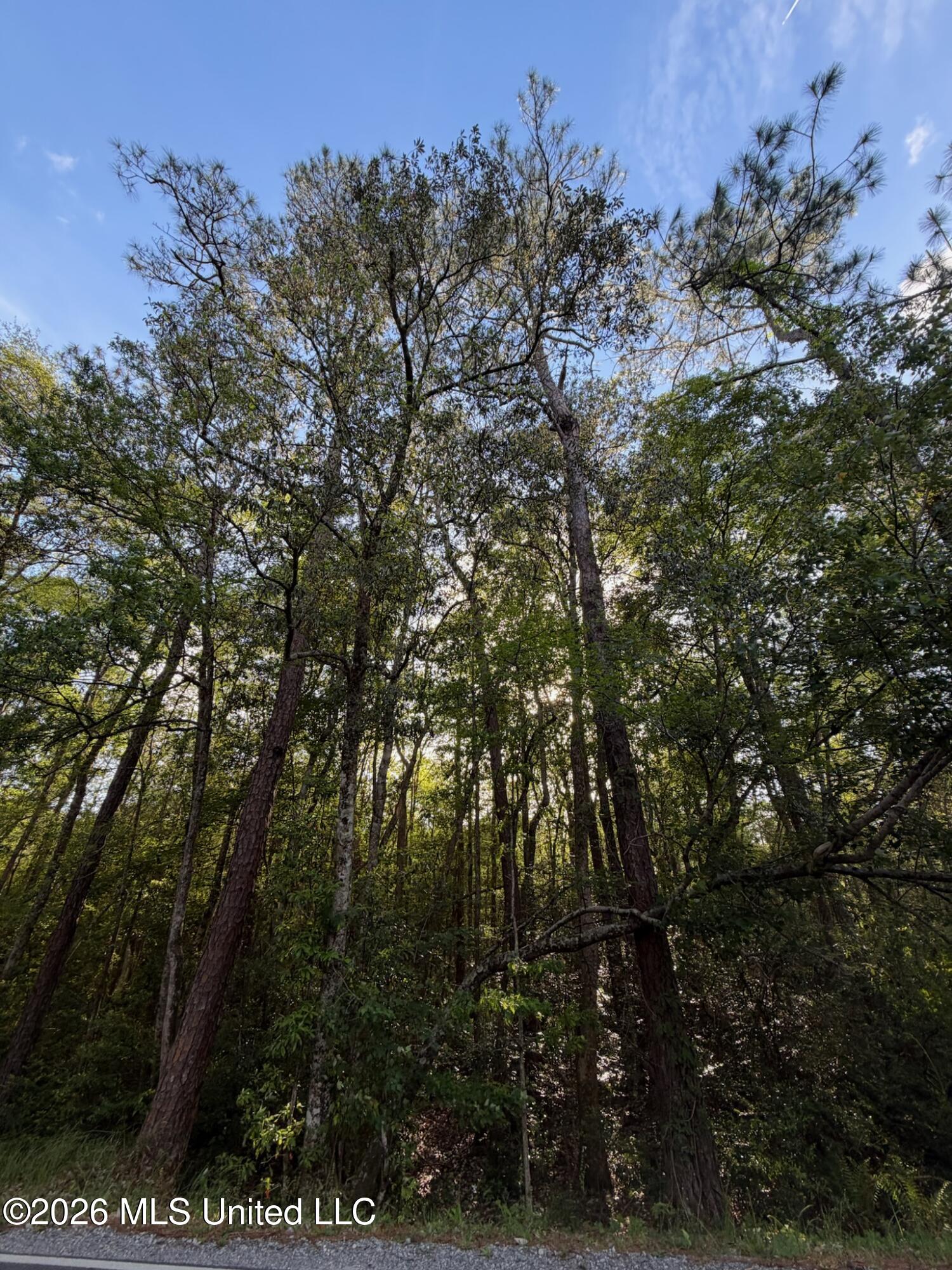 State Line Road Property Photo 4
