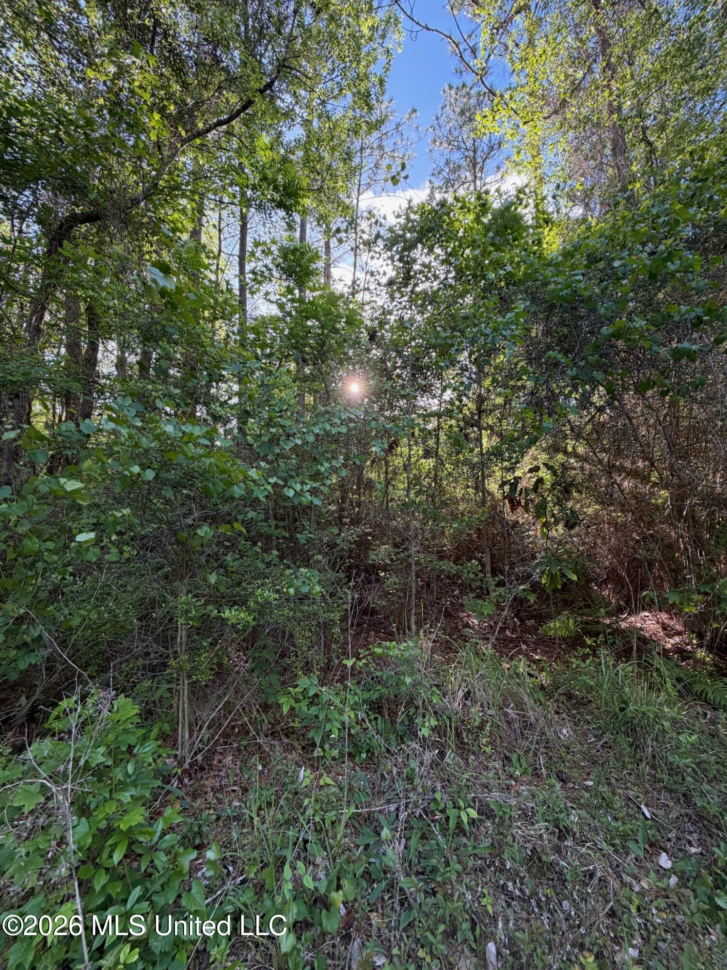 State Line Road Property Photo 5