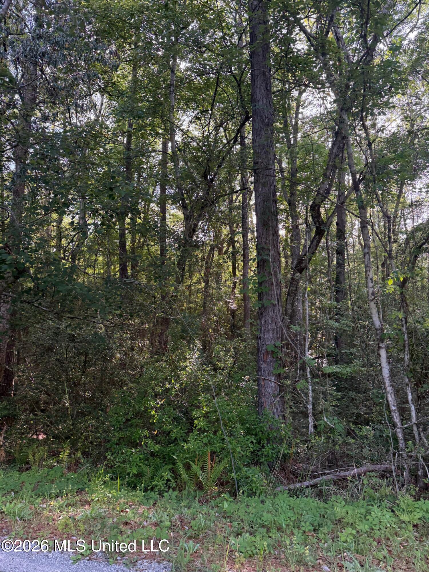 State Line Road Property Photo 6