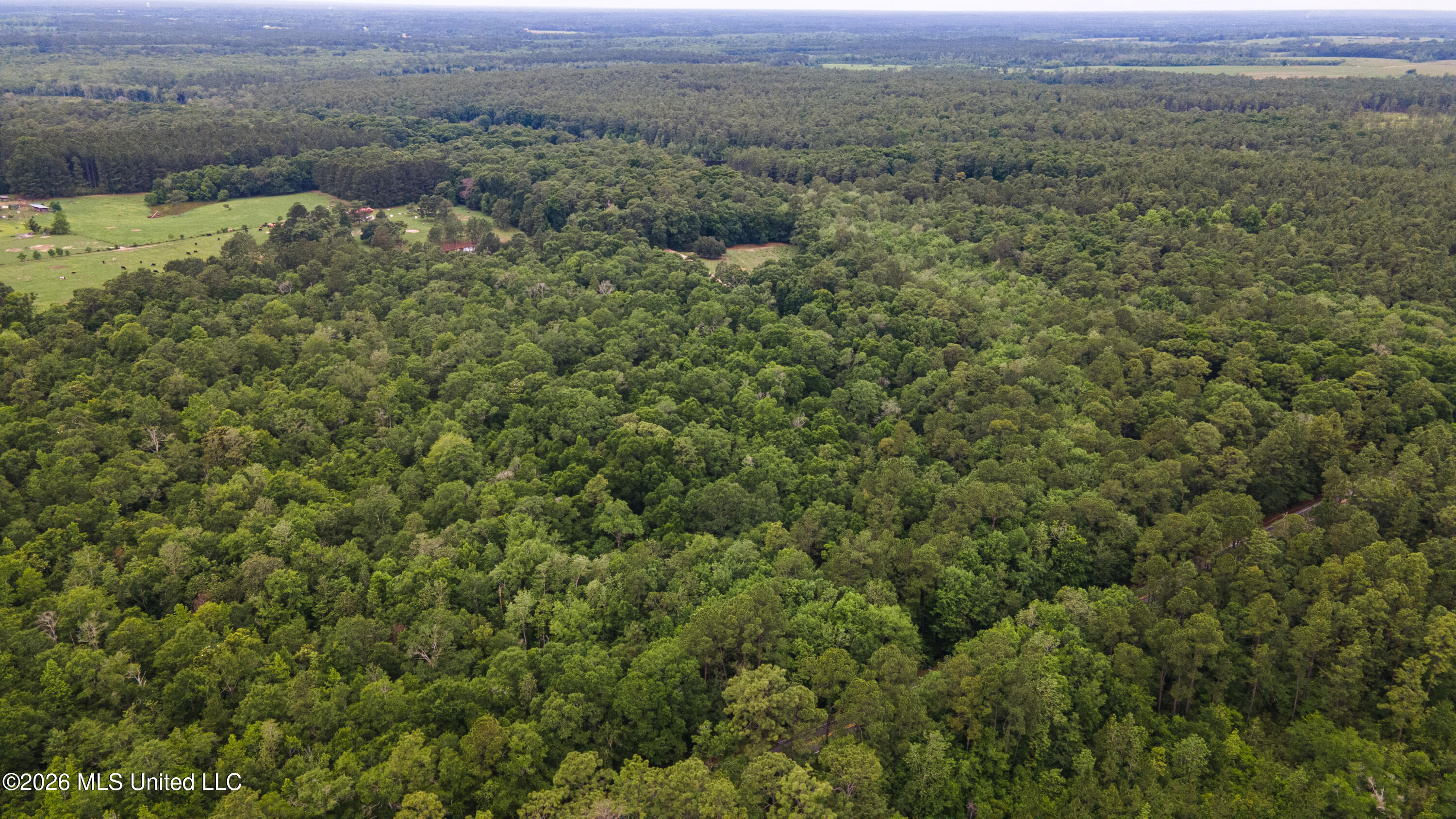 State Line Road Property Photo 8