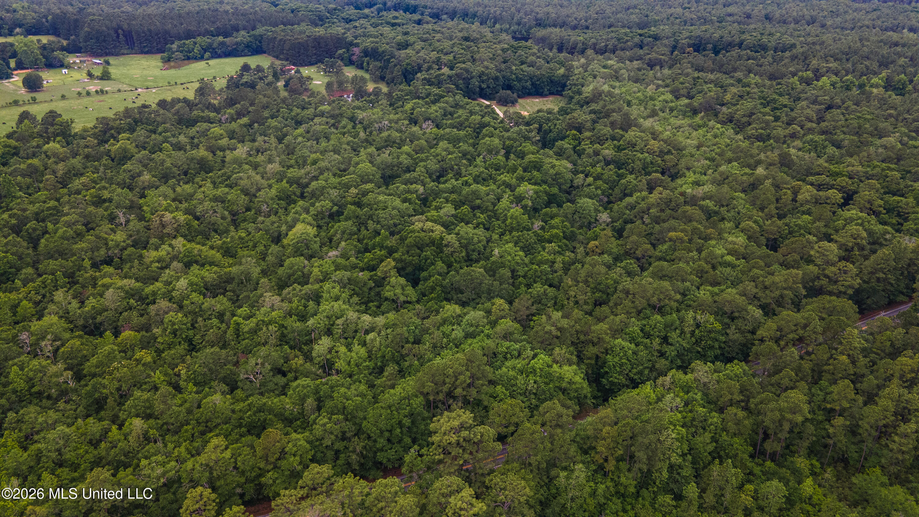State Line Road Property Photo 11