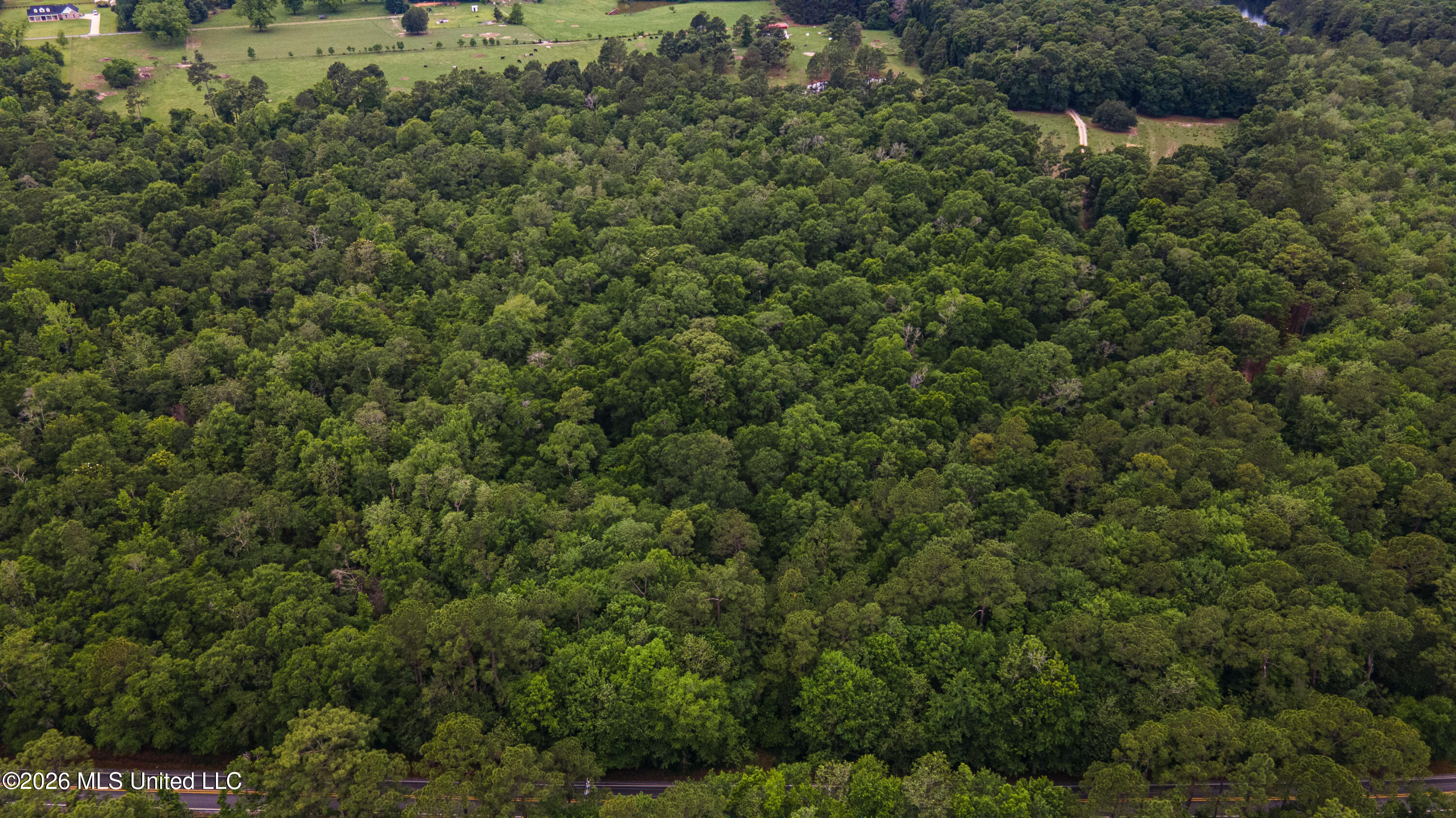 State Line Road Property Photo 12