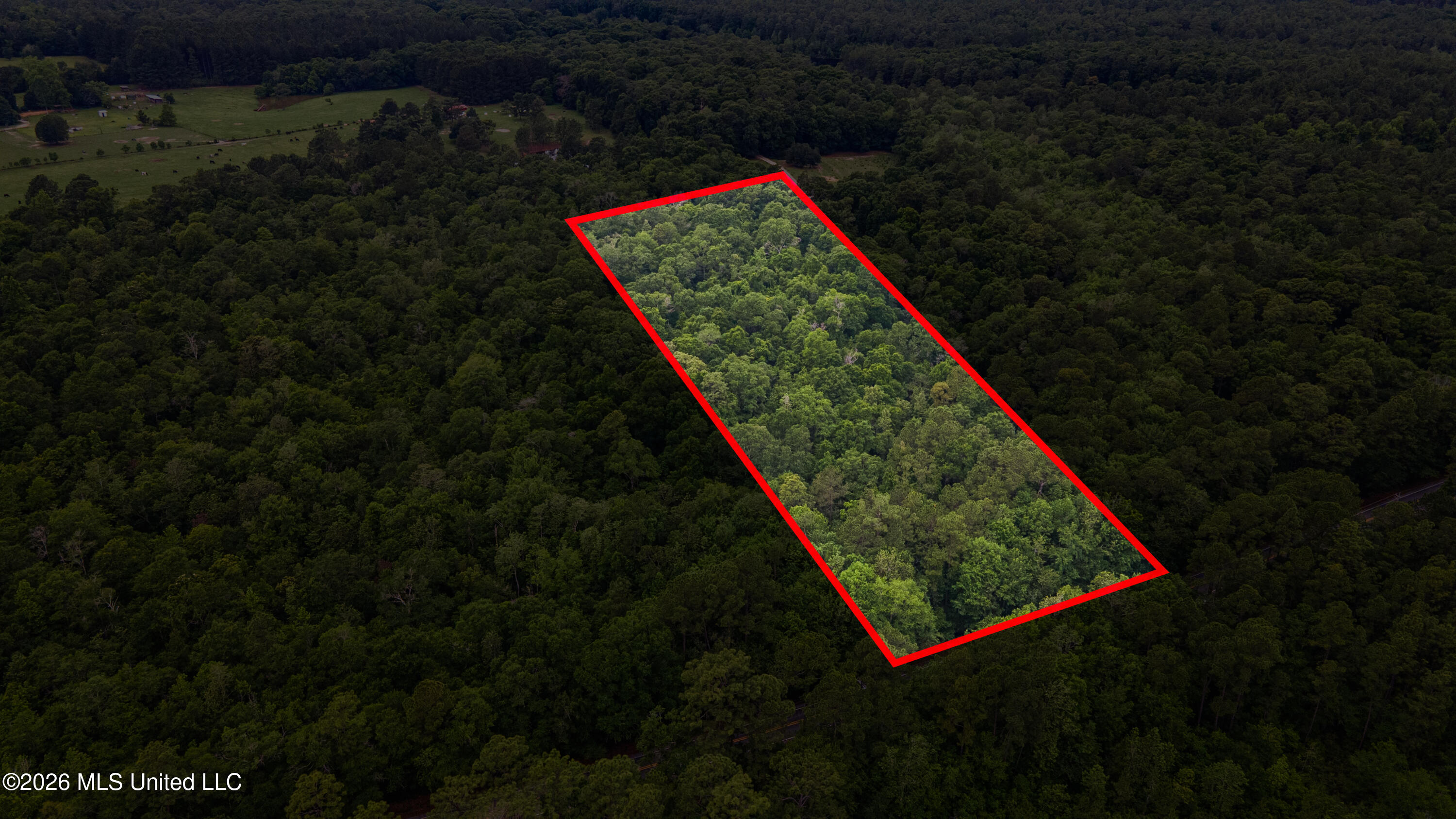 State Line Road Property Photo 13