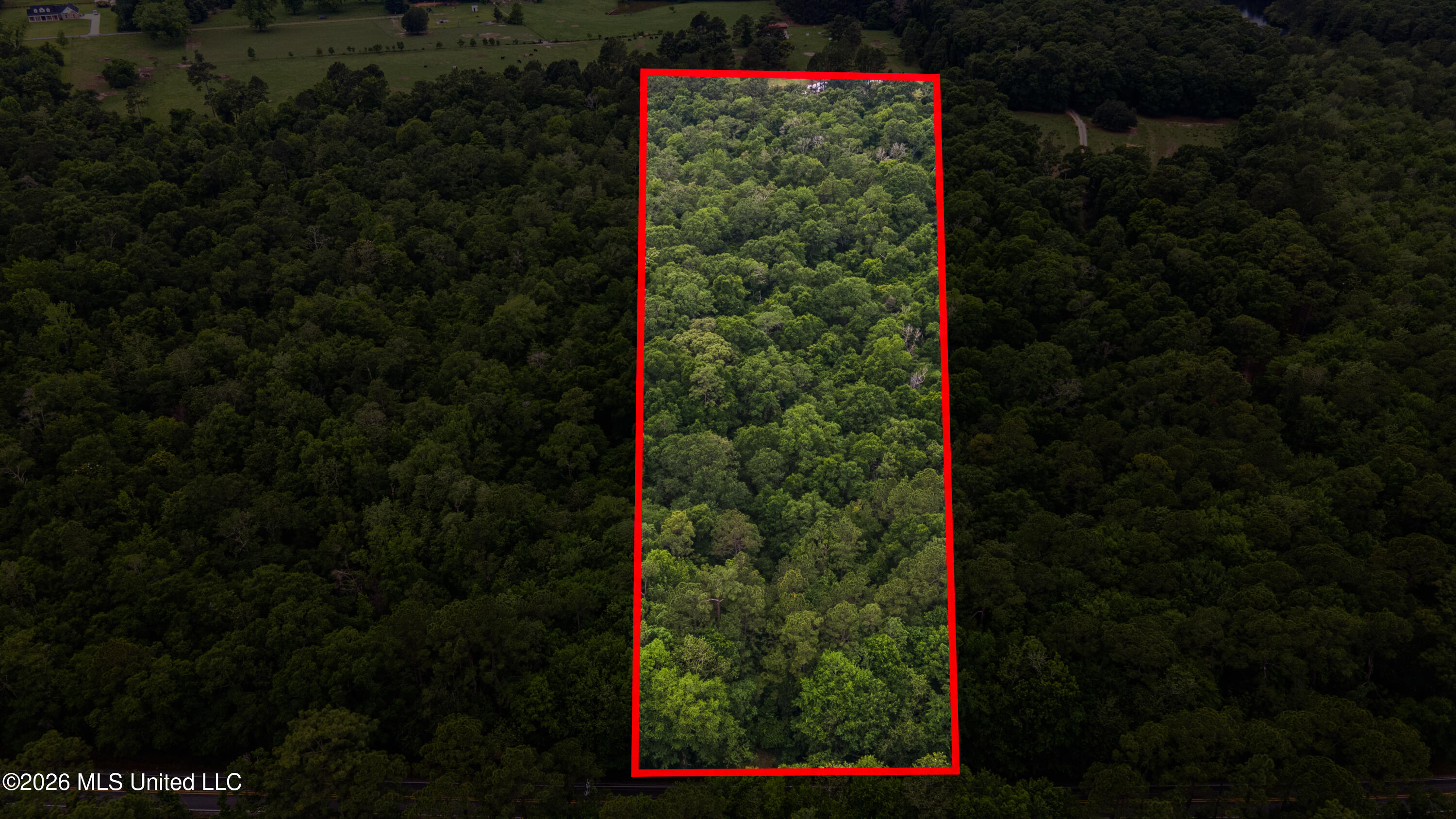 State Line Road Property Photo 14