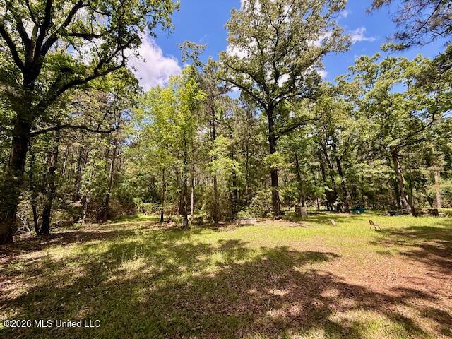 Magnolia Holmesville Road Property Photo 3