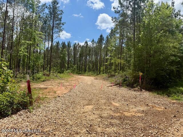 Magnolia Holmesville Road Property Photo 4