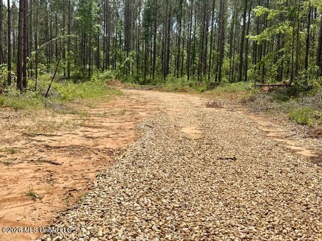 Magnolia Holmesville Road Property Photo 5