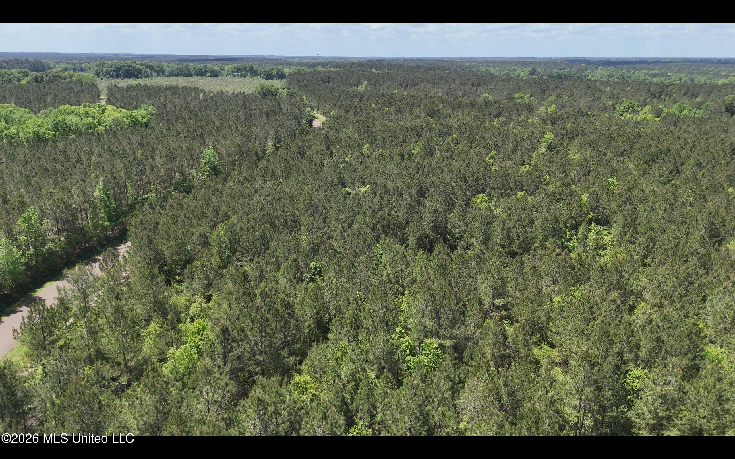 Magnolia Holmesville Road Property Photo 7