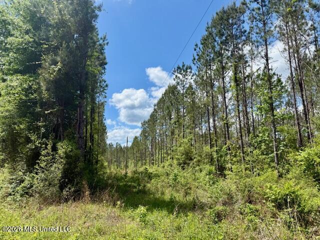 Magnolia Holmesville Road Property Photo 8