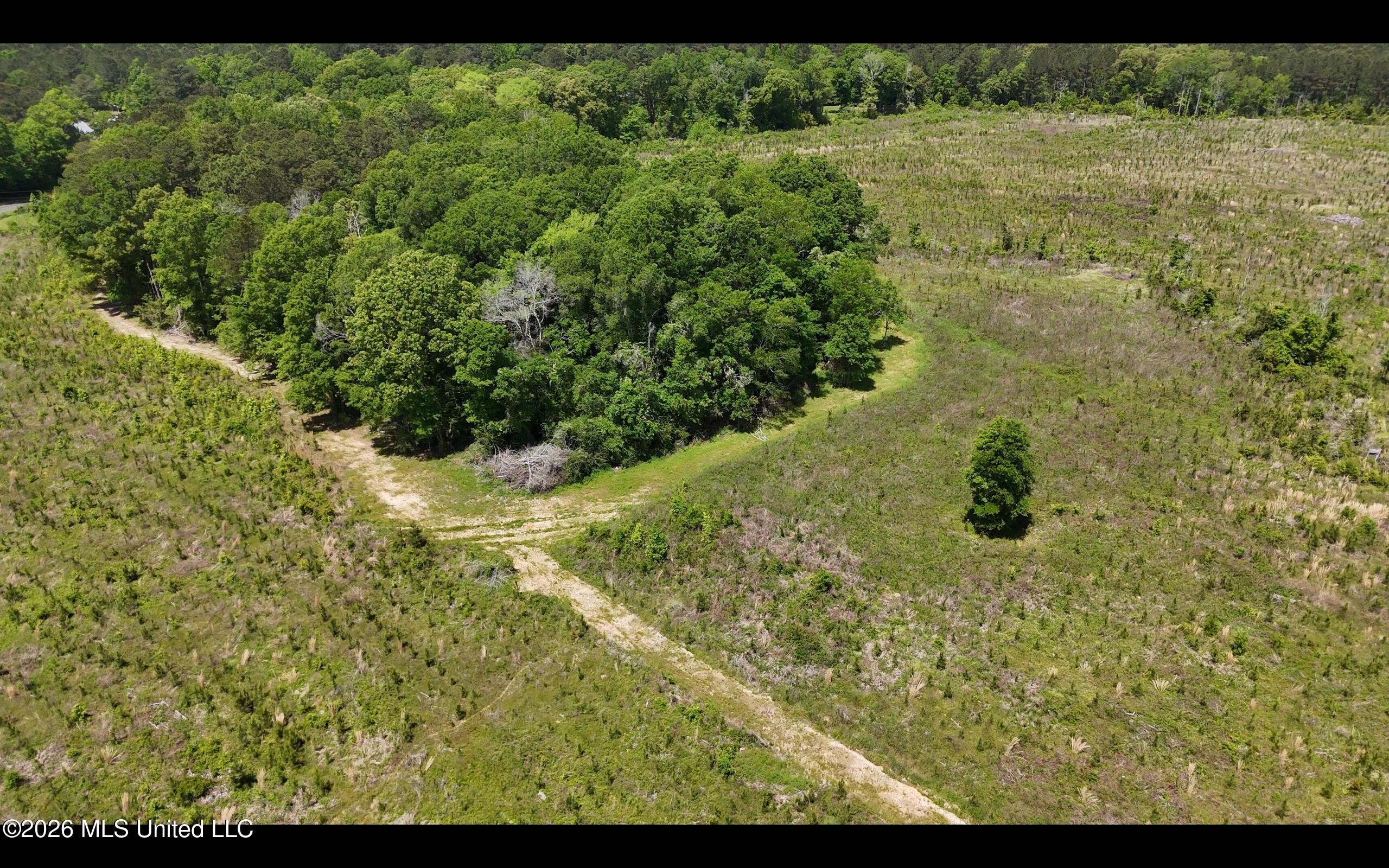 Magnolia Holmesville Road Property Photo 15