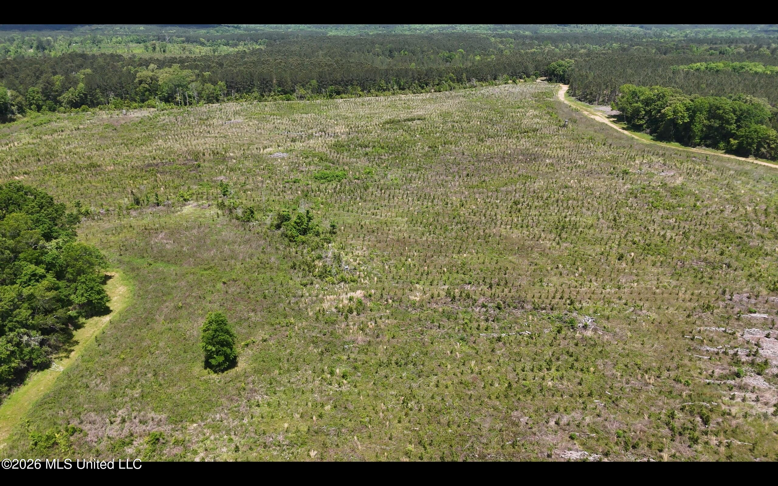 Magnolia Holmesville Road Property Photo 16