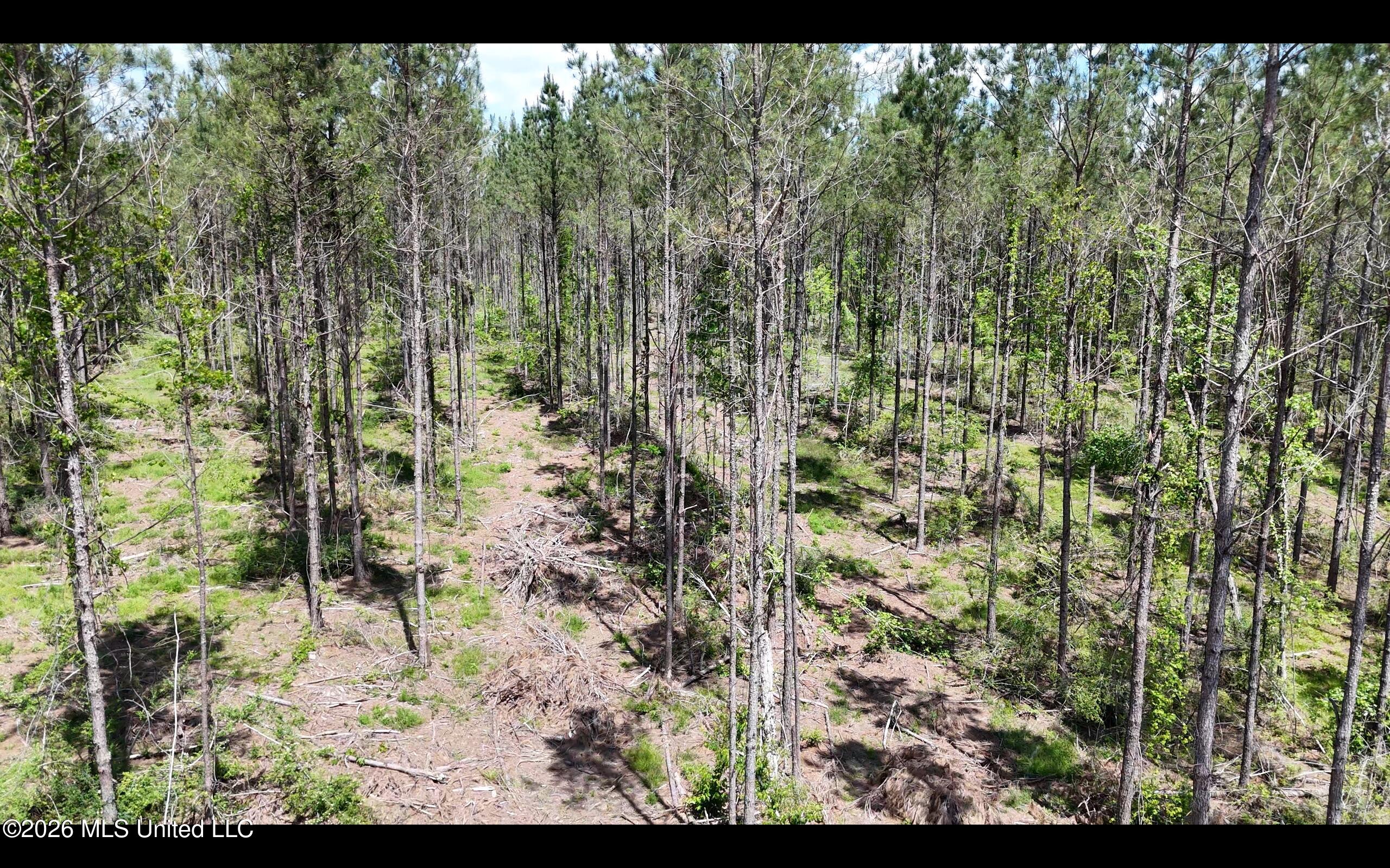 Magnolia Holmesville Road Property Photo 17