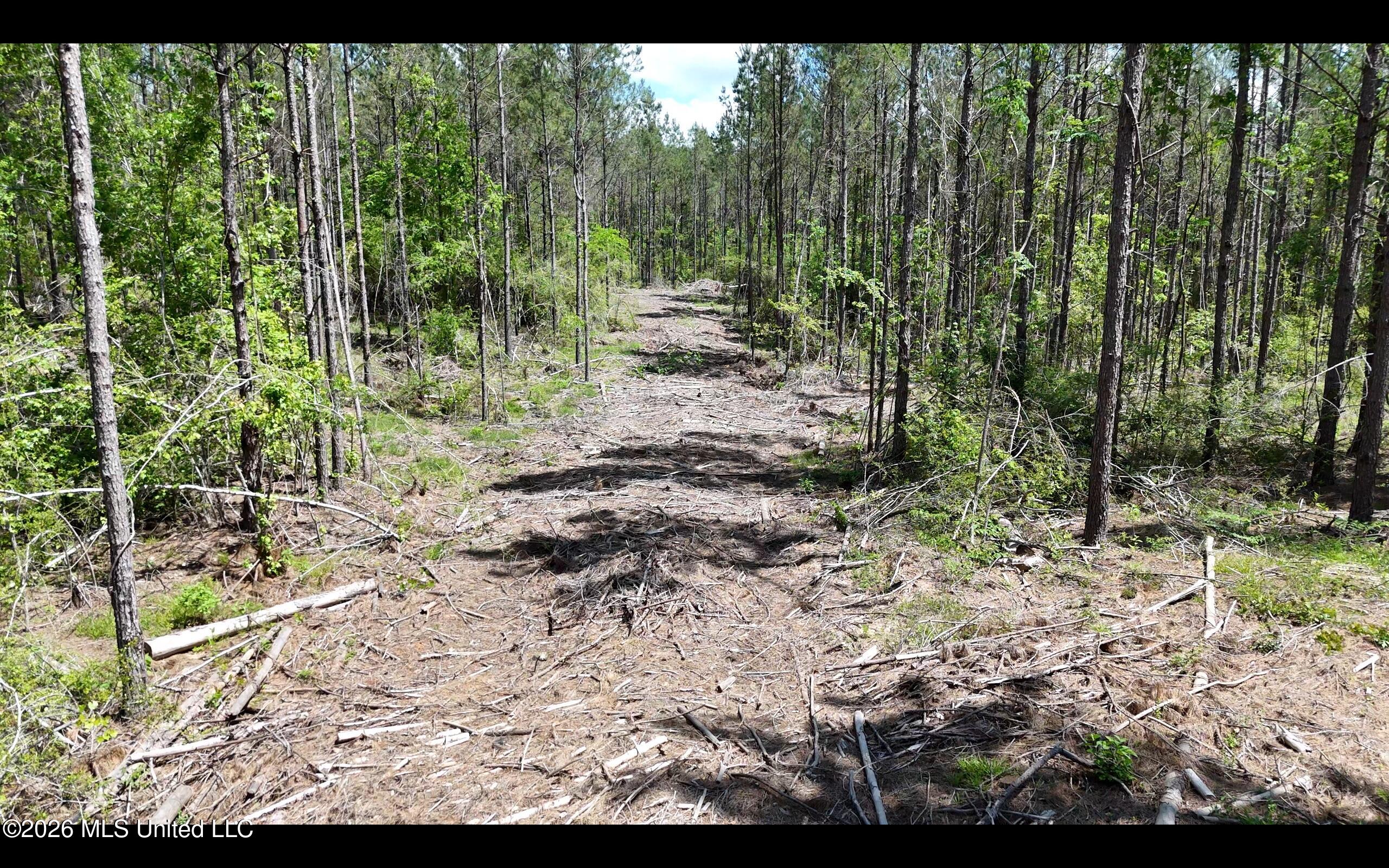 Magnolia Holmesville Road Property Photo 19