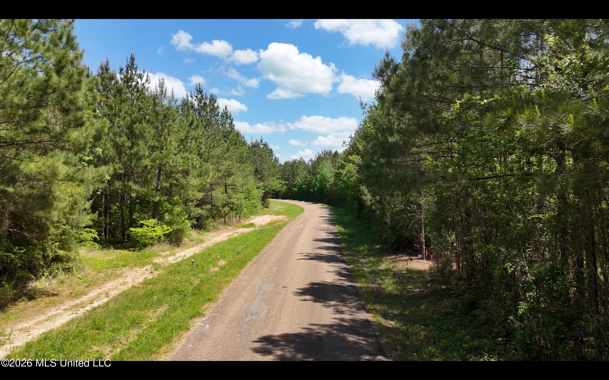 Magnolia Holmesville Road Property Photo 23