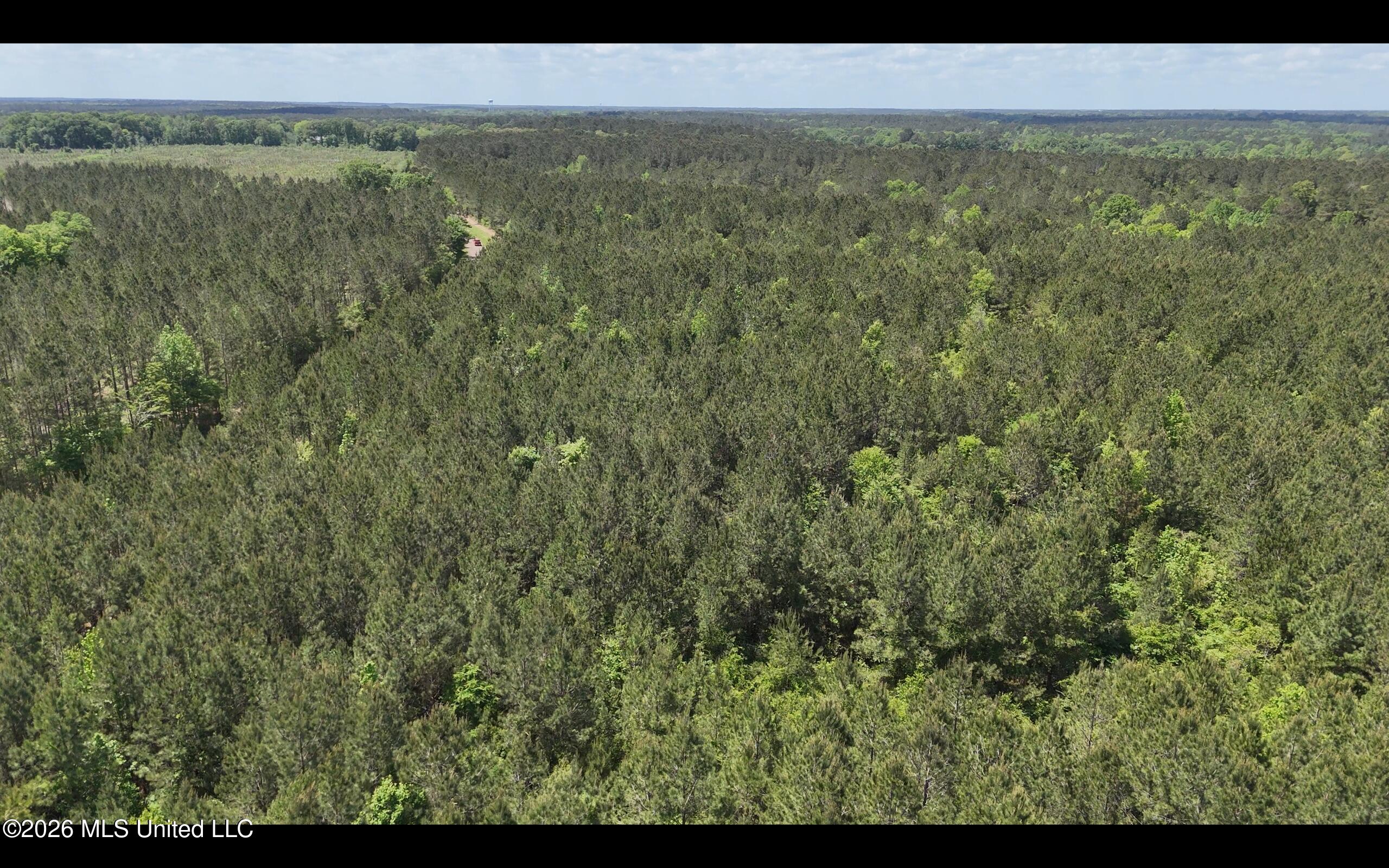 Magnolia Holmesville Road Property Photo 25