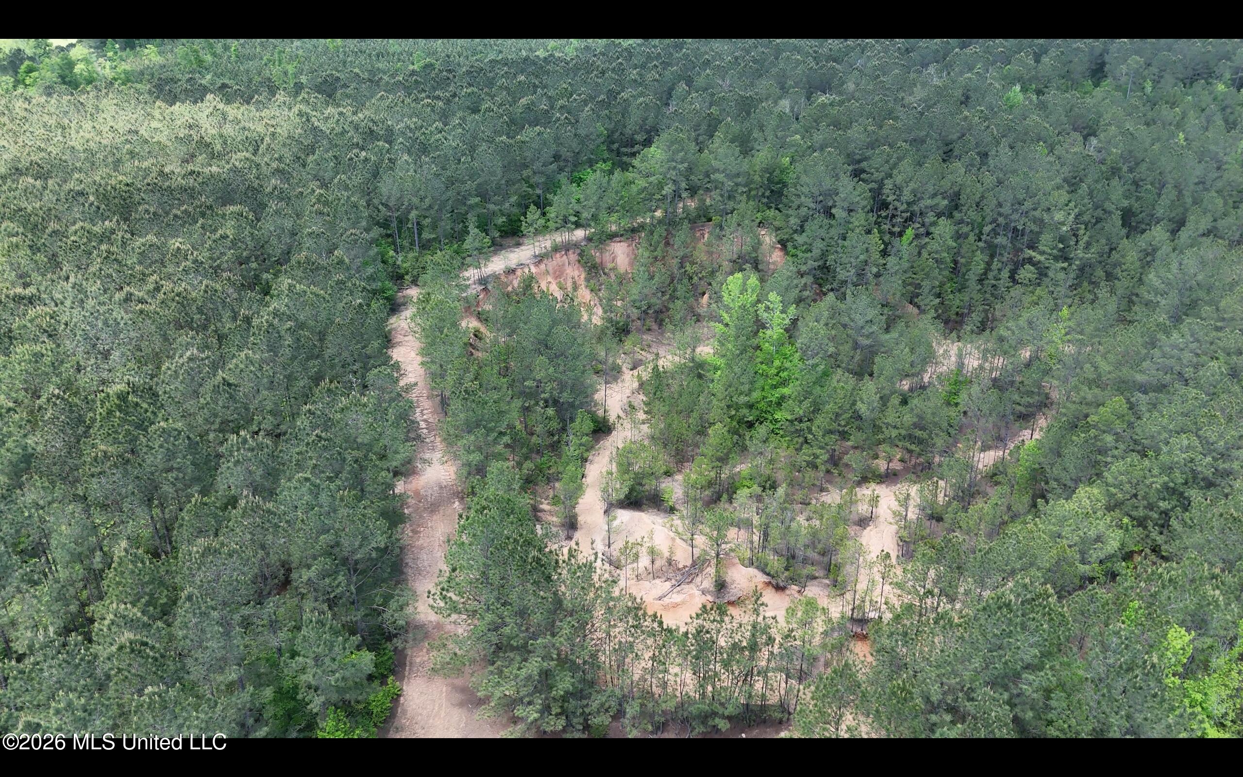 Magnolia Holmesville Road Property Photo 29
