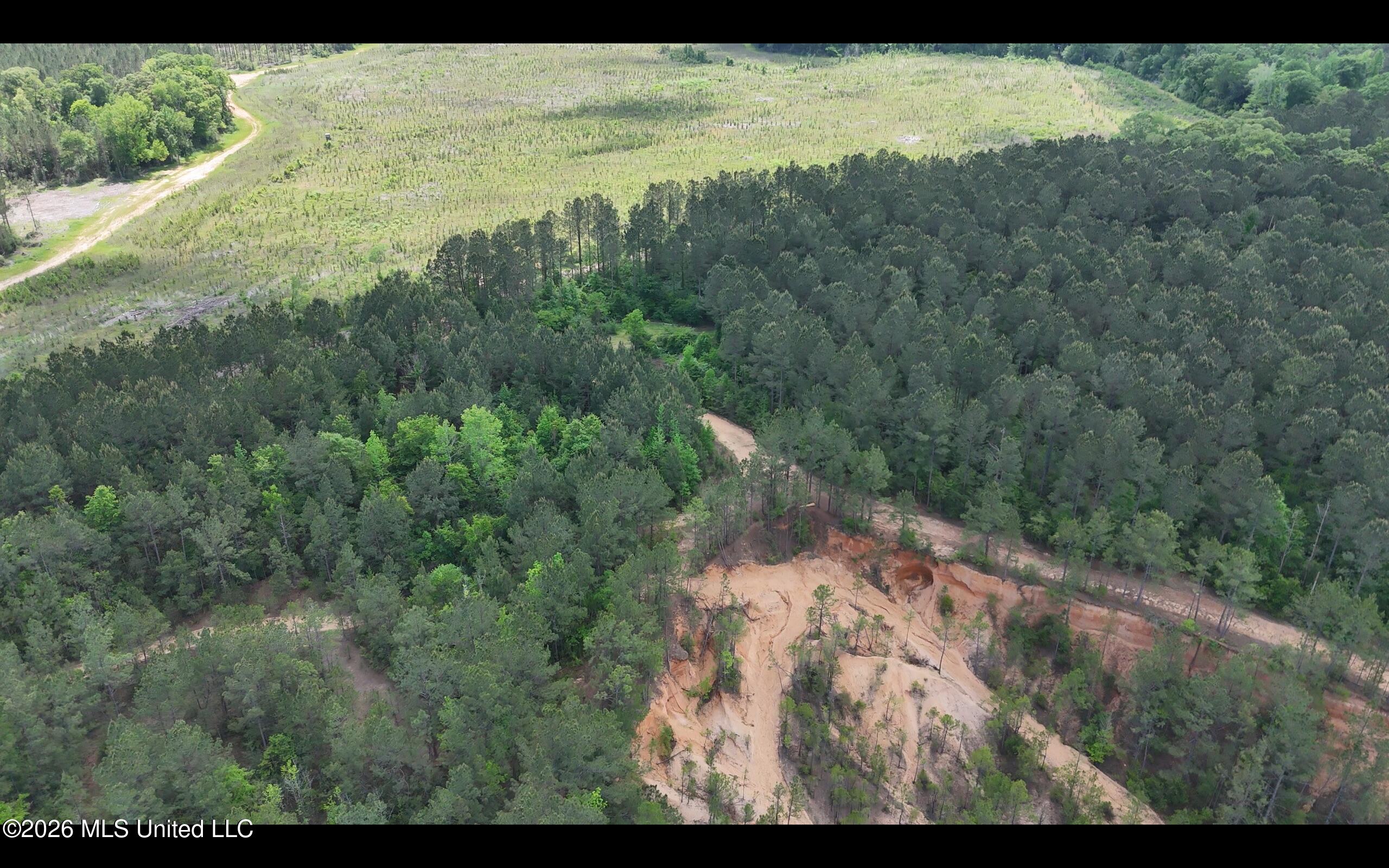 Magnolia Holmesville Road Property Photo 33