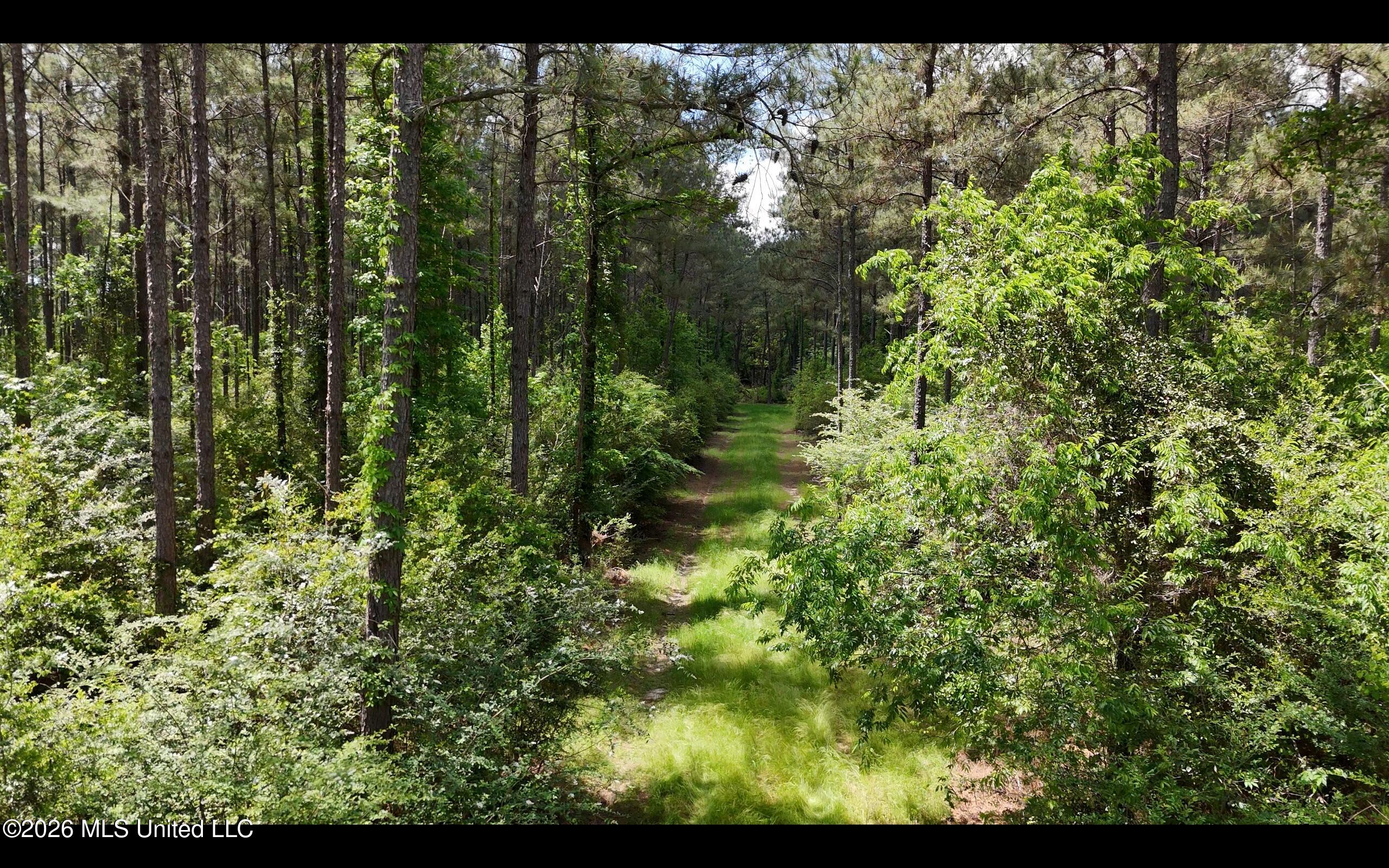 Magnolia Holmesville Road Property Photo 34
