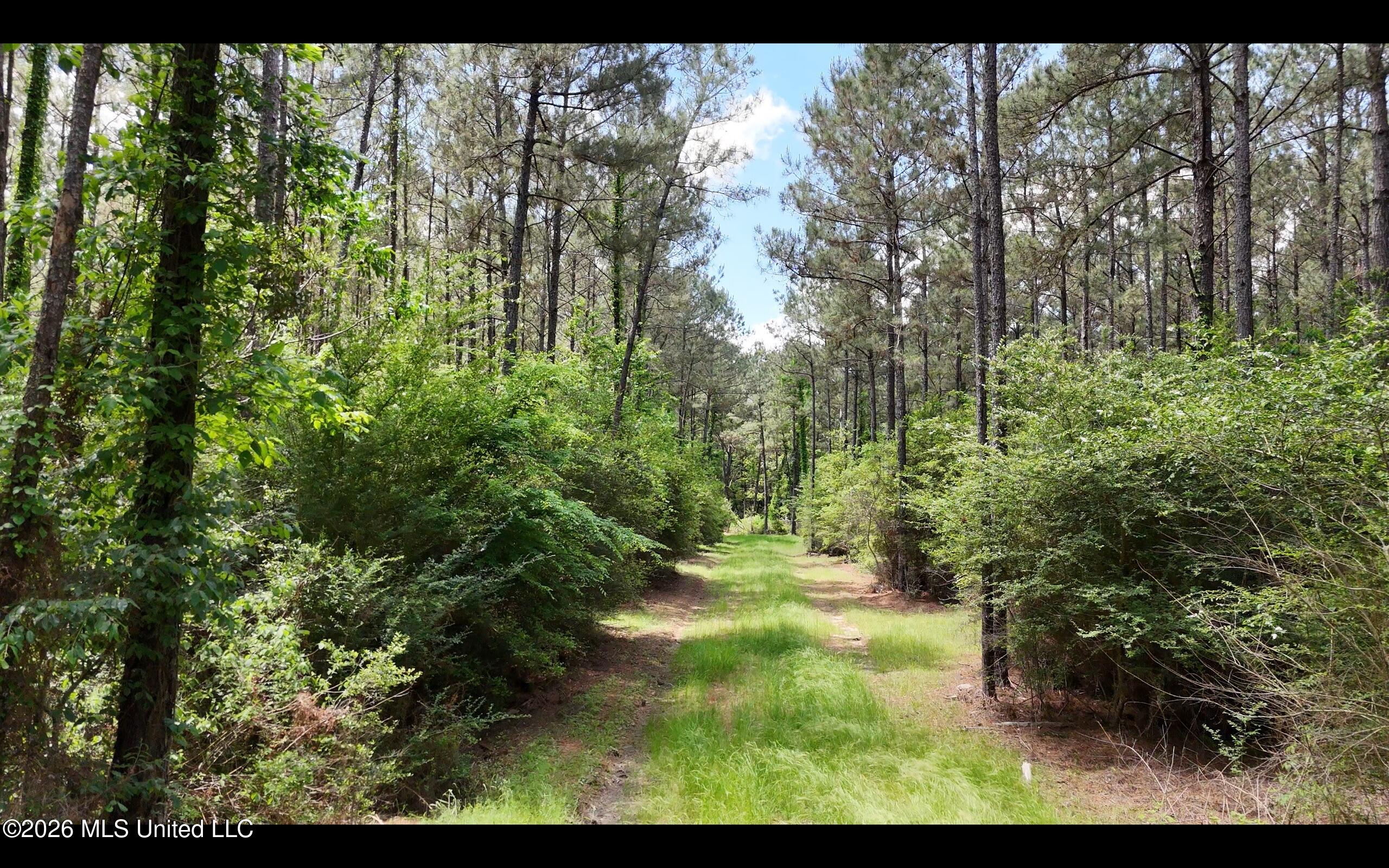 Magnolia Holmesville Road Property Photo 35