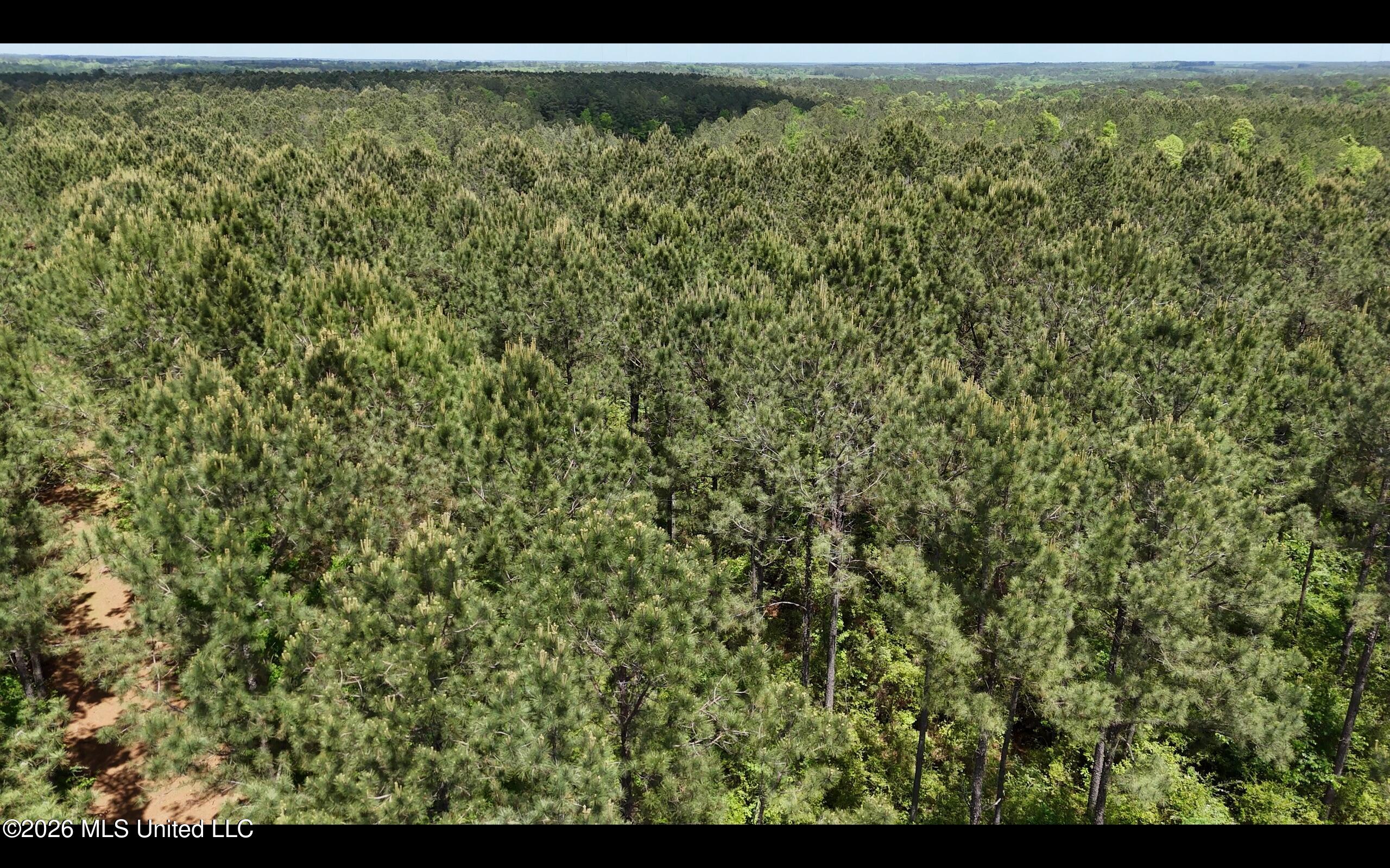 Magnolia Holmesville Road Property Photo 37