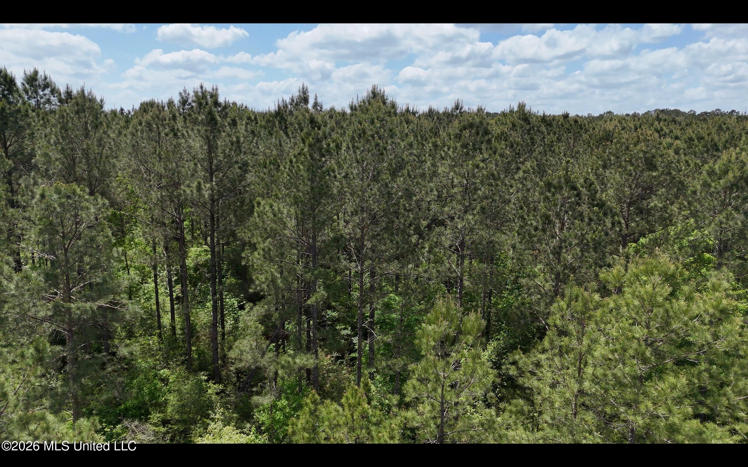 Magnolia Holmesville Road Property Photo 38