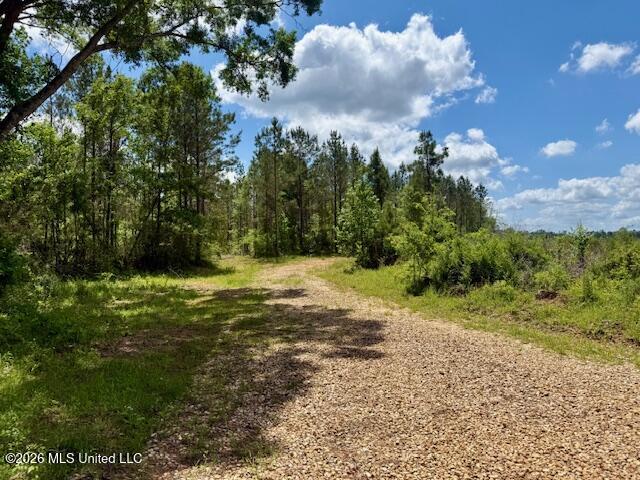 Magnolia Holmesville Road Property Photo 45