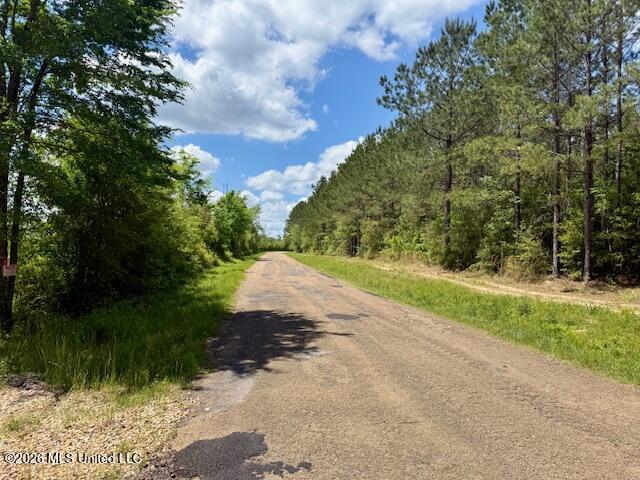 Magnolia Holmesville Road Property Photo 46