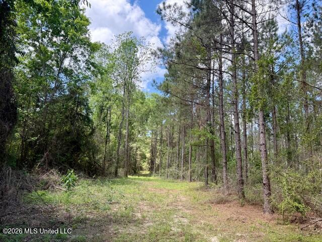 Magnolia Holmesville Road Property Photo 49