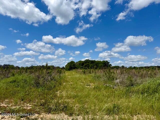 Magnolia Holmesville Road Property Photo 53